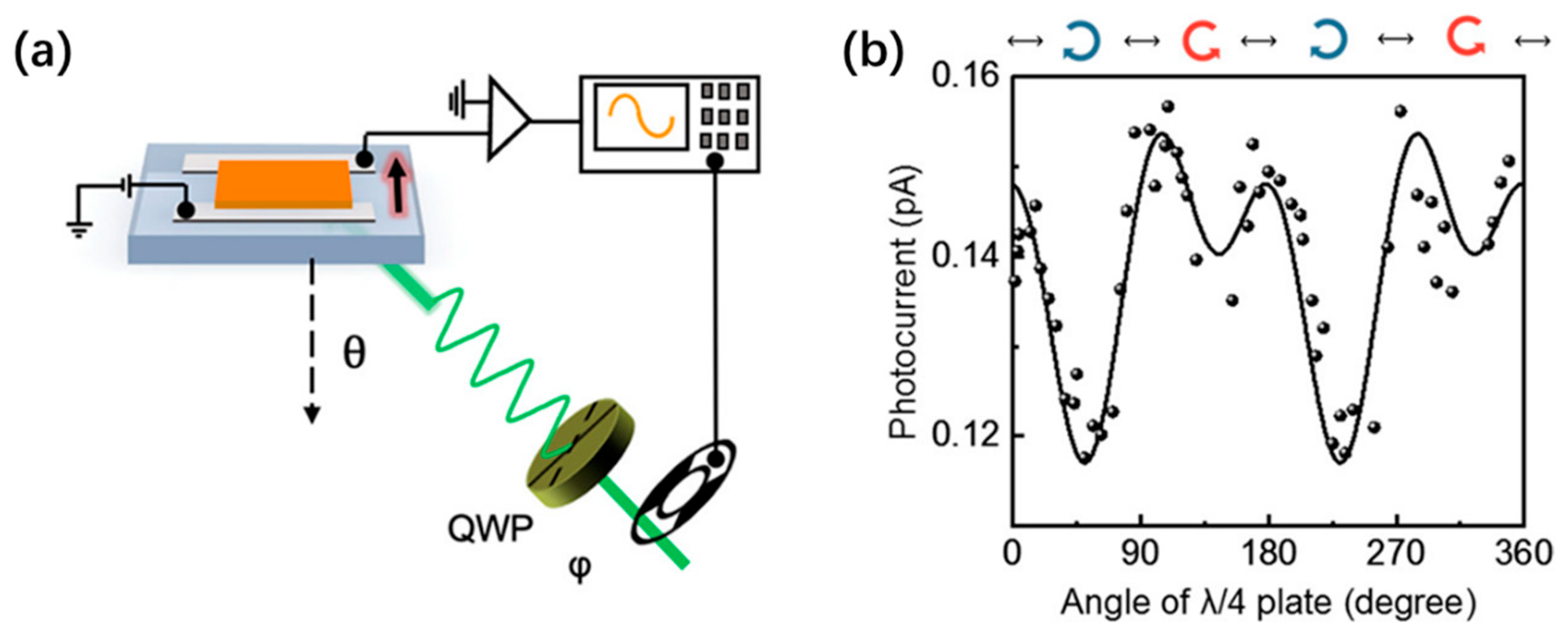 Nanomaterials 14 00683 g003 Nanomaterials 14 00683 g003