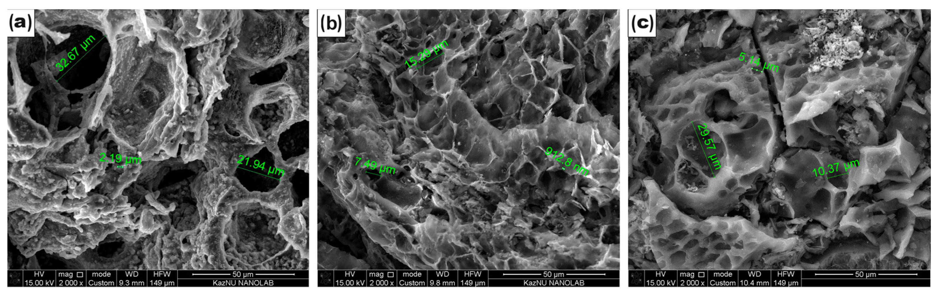 Nanomaterials 14 00686 g002