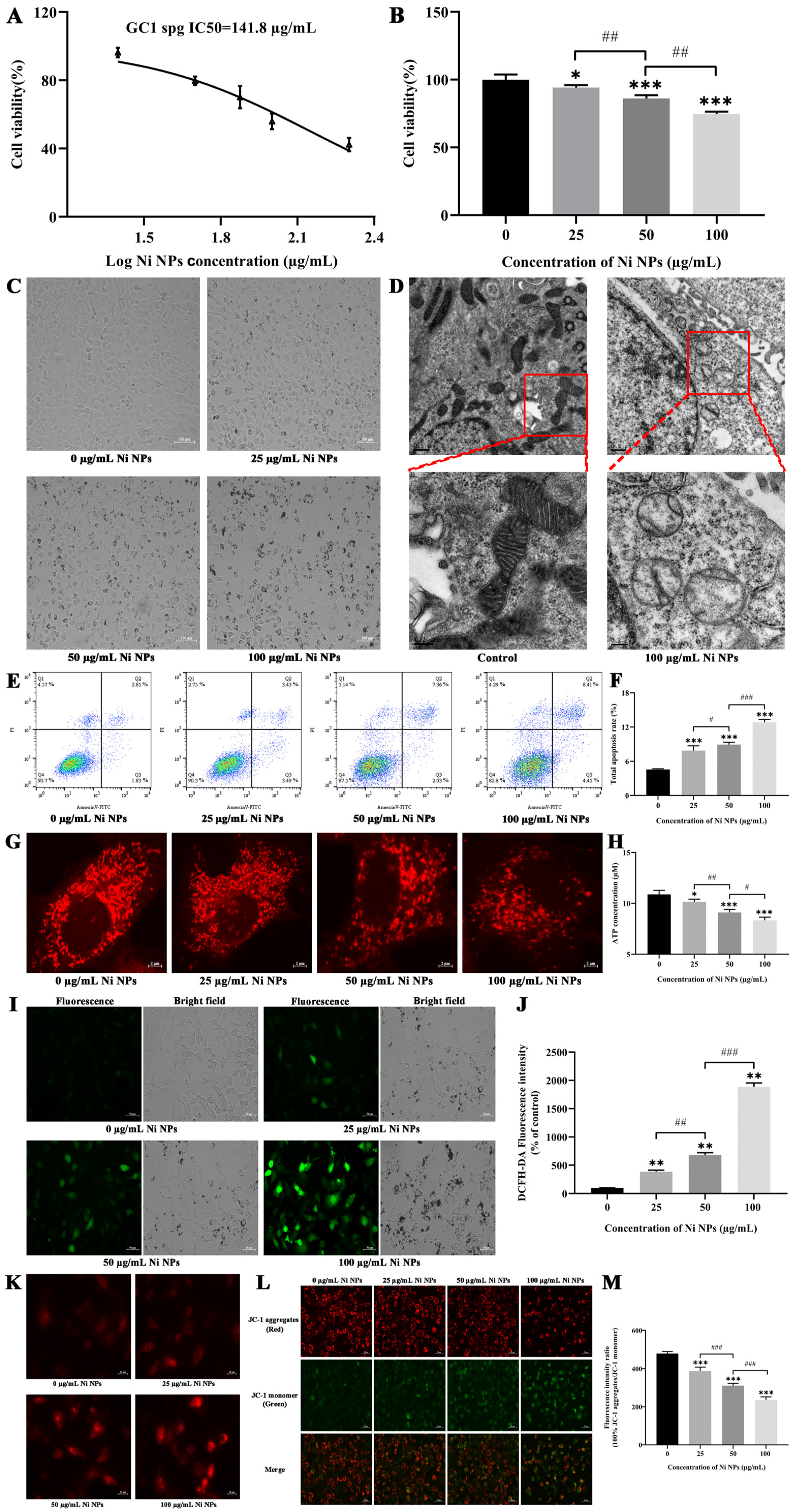 Nanomaterials 14 00689 g001 Nanomaterials 14 00689 g001