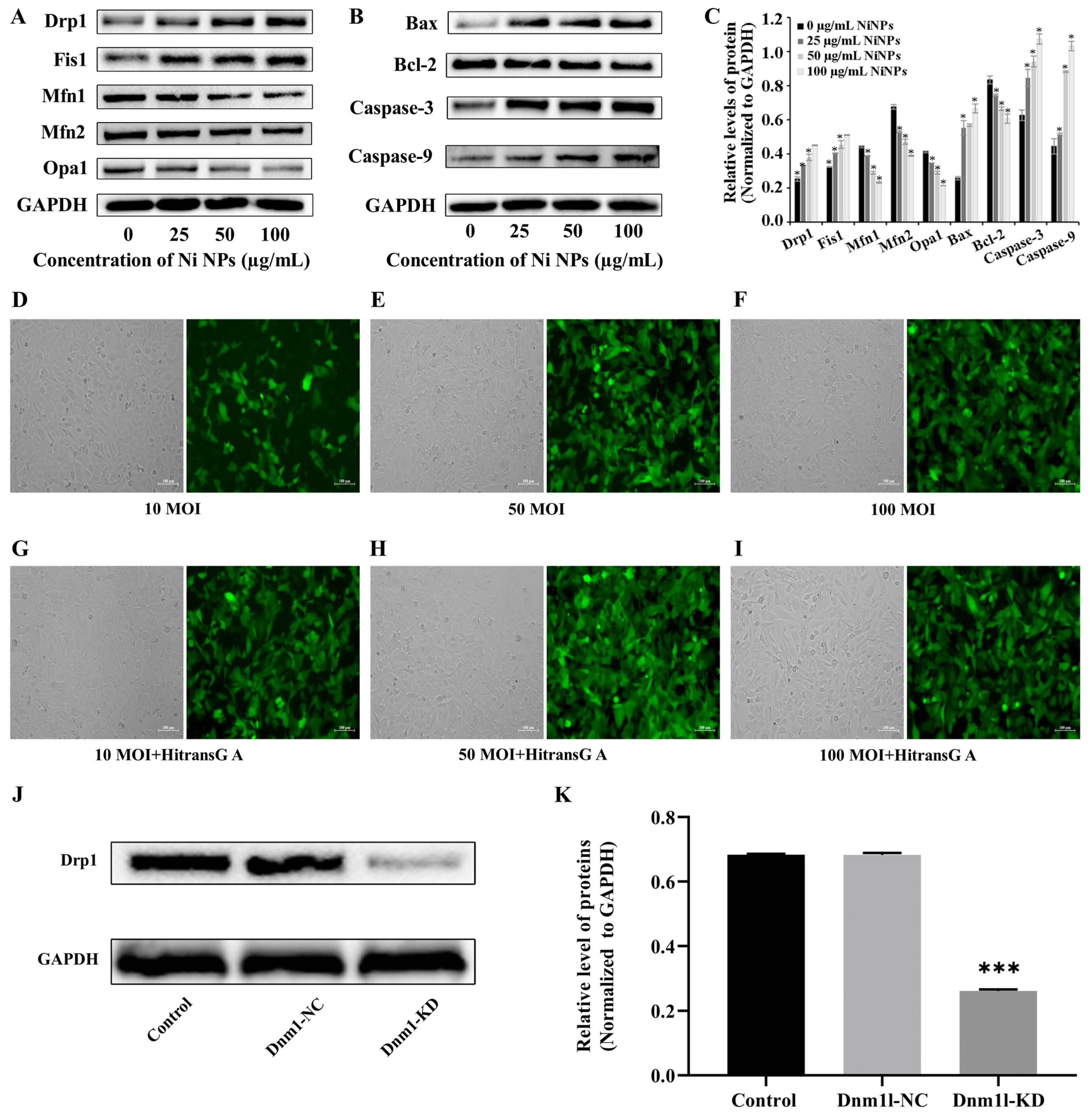 Nanomaterials 14 00689 g002 Nanomaterials 14 00689 g002