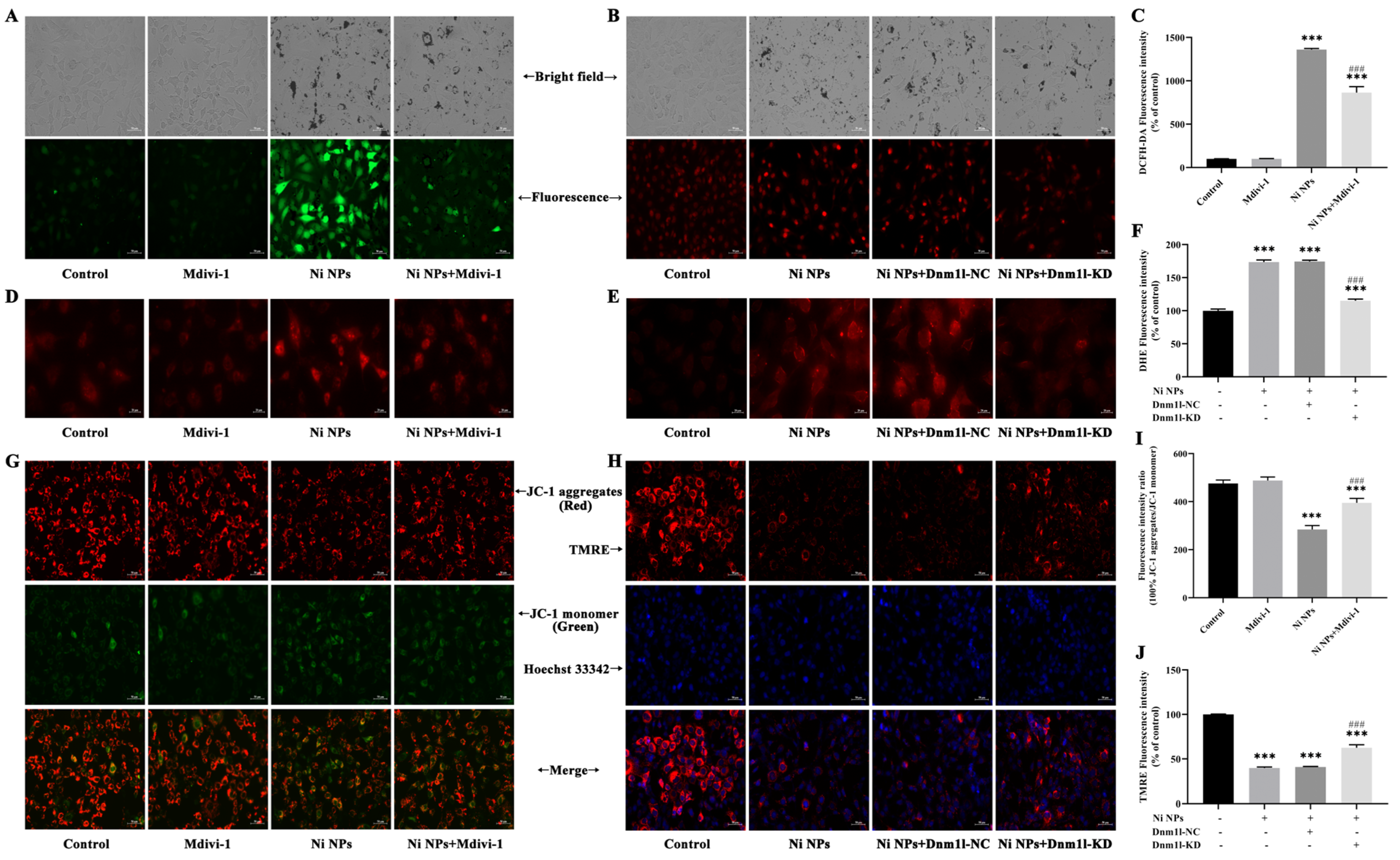 Nanomaterials 14 00689 g004 Nanomaterials 14 00689 g004