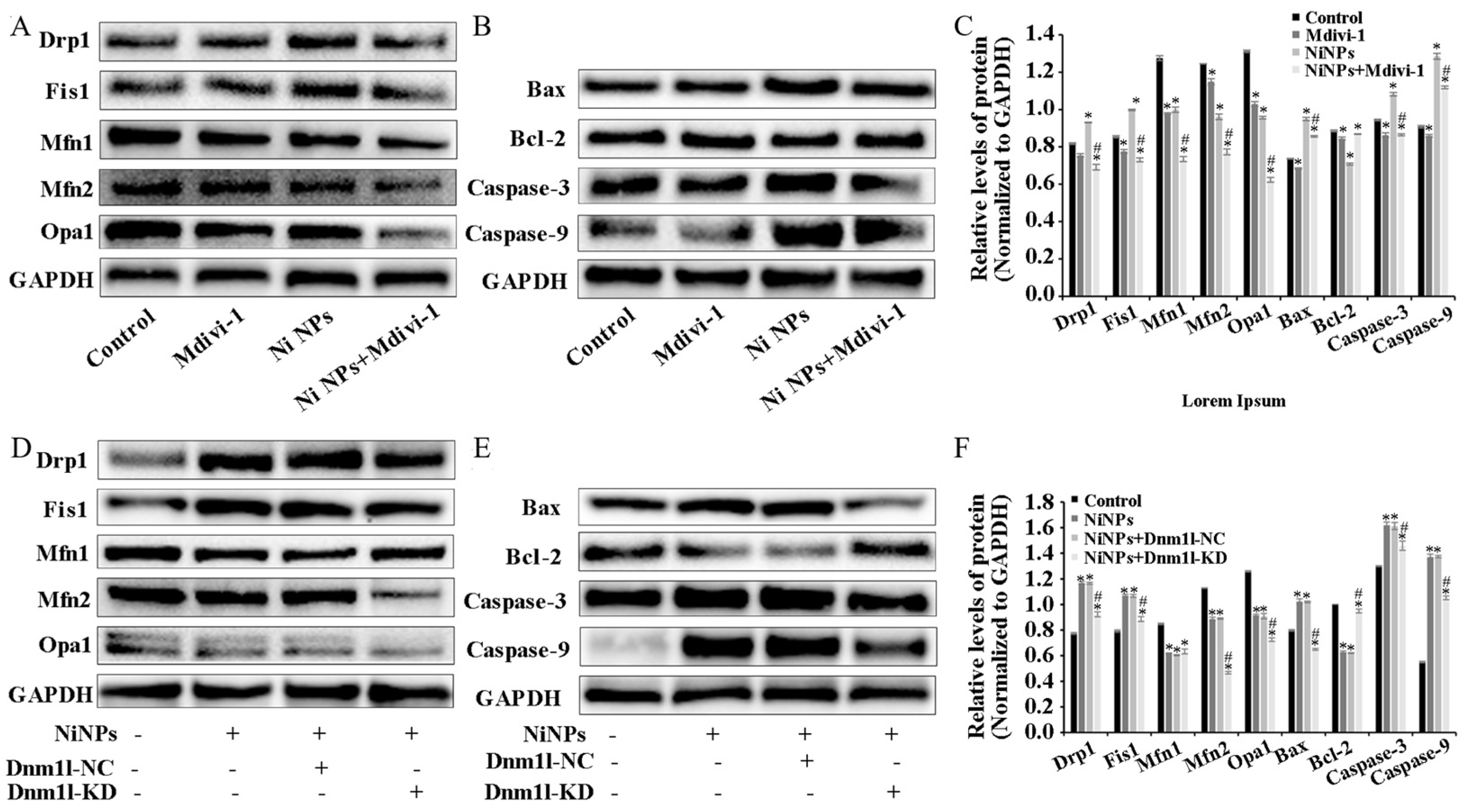 Nanomaterials 14 00689 g005 Nanomaterials 14 00689 g005