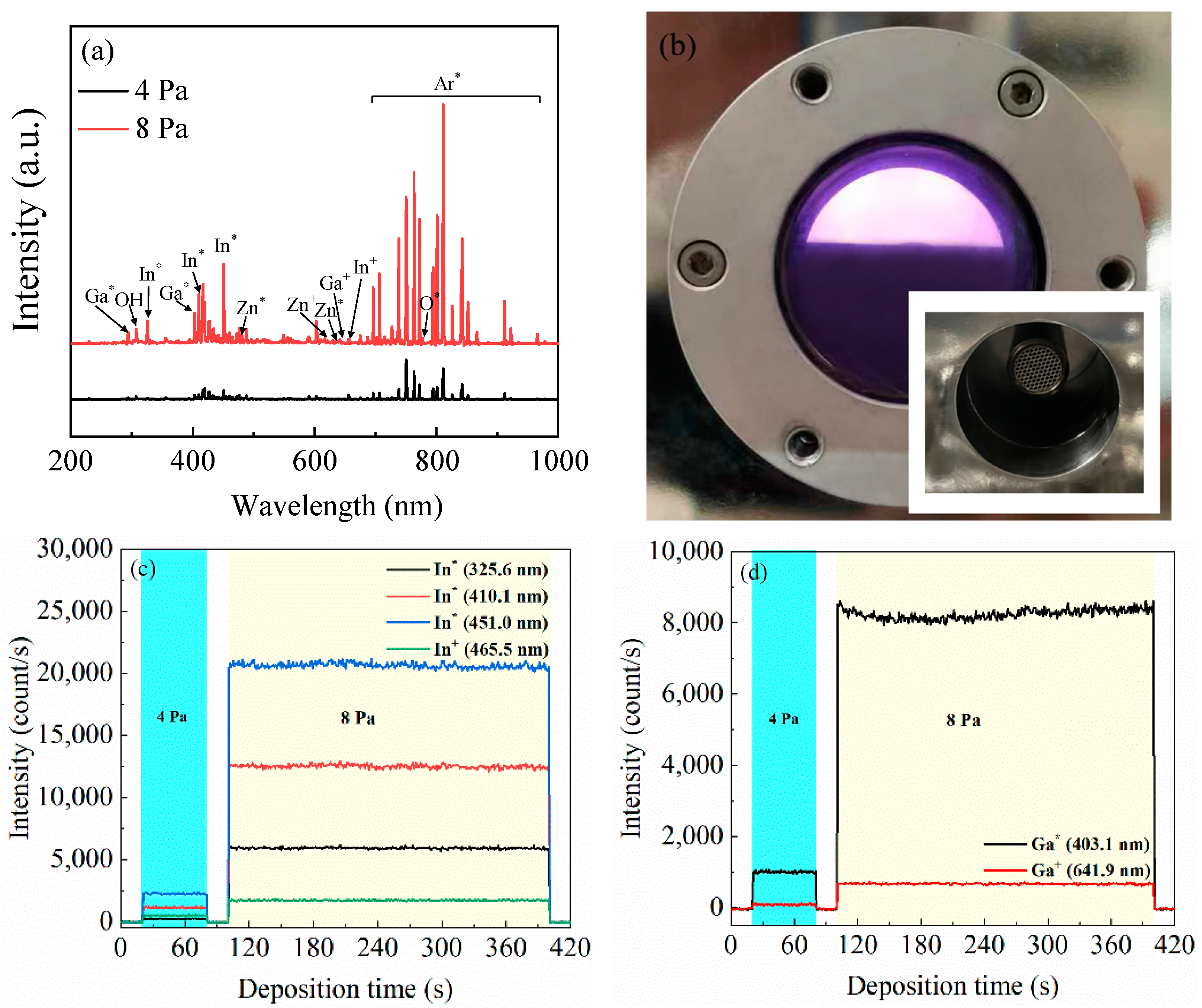 Nanomaterials 14 00690 g002a