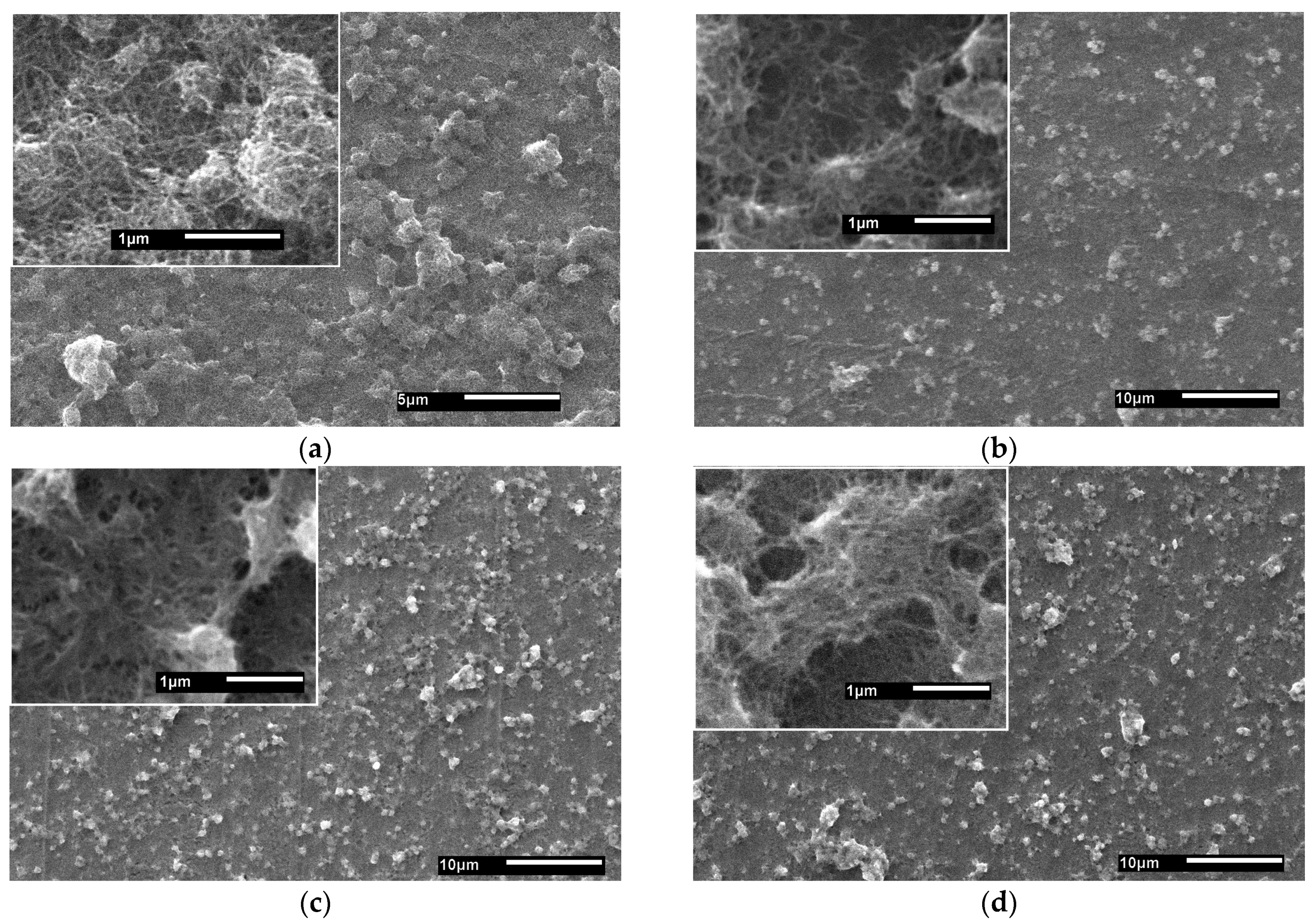 Nanomaterials 14 00699 g001 Nanomaterials 14 00699 g001