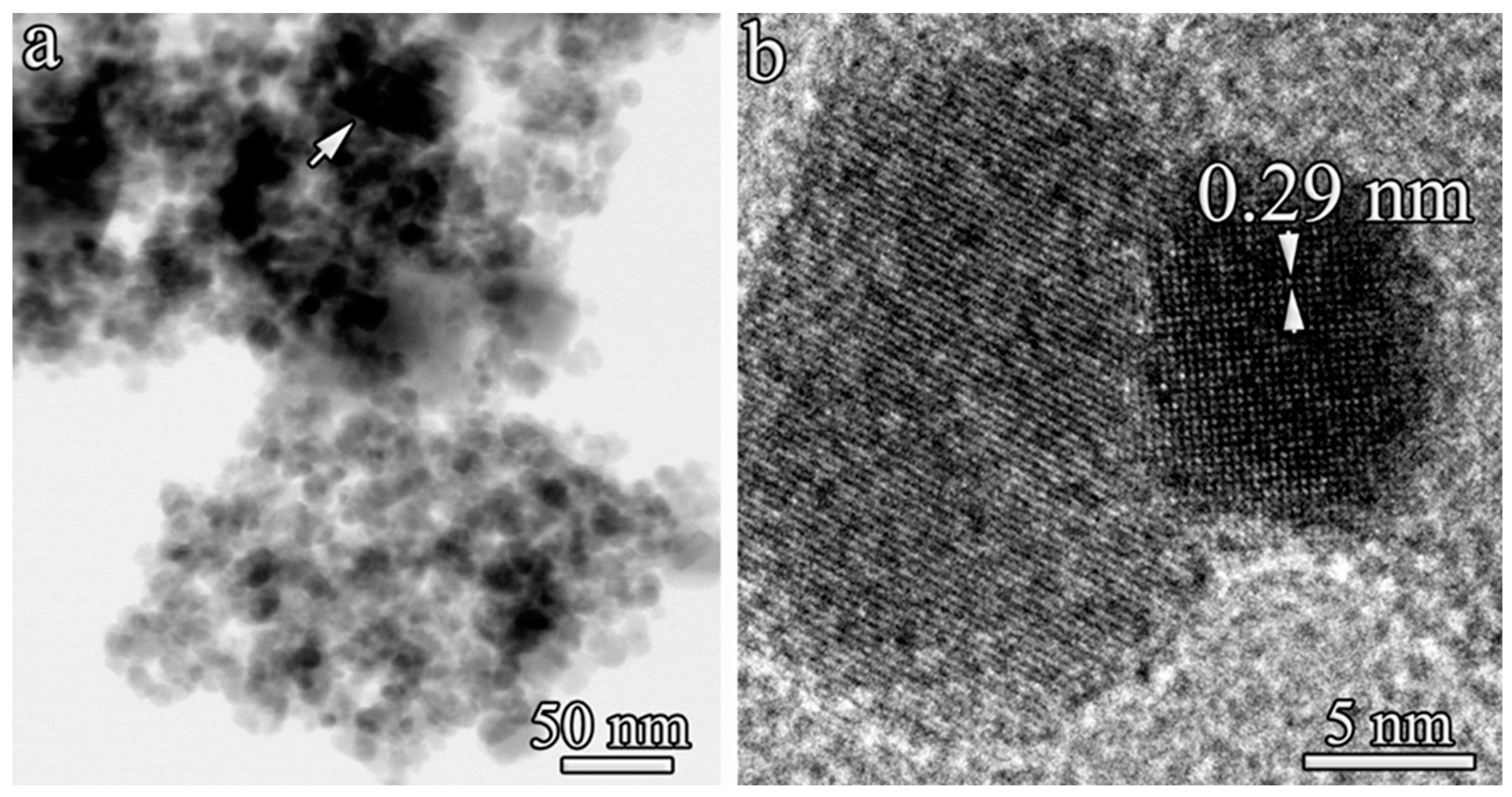 Nanomaterials 14 00700 g002