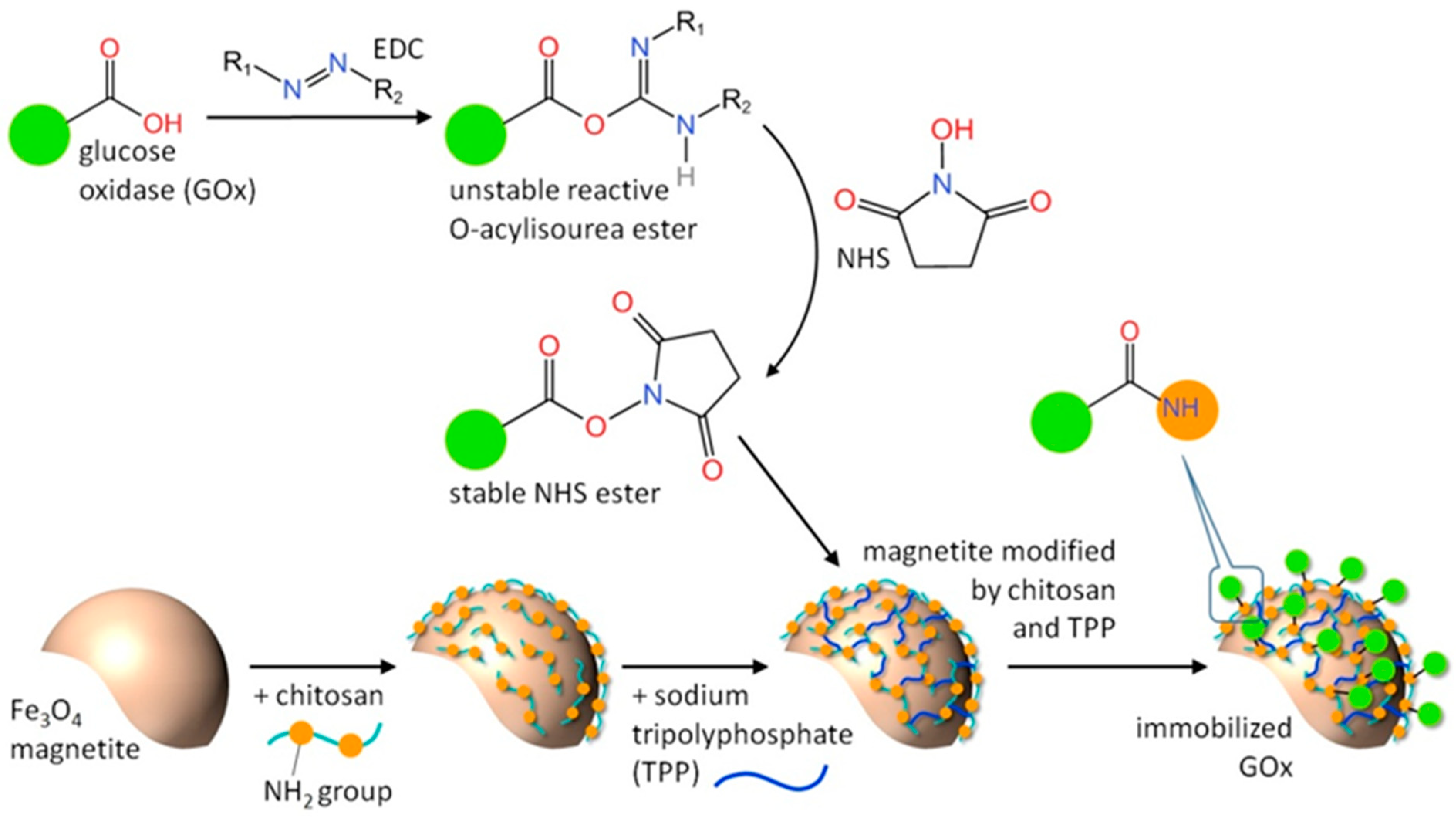 Nanomaterials 14 00700 sch001
