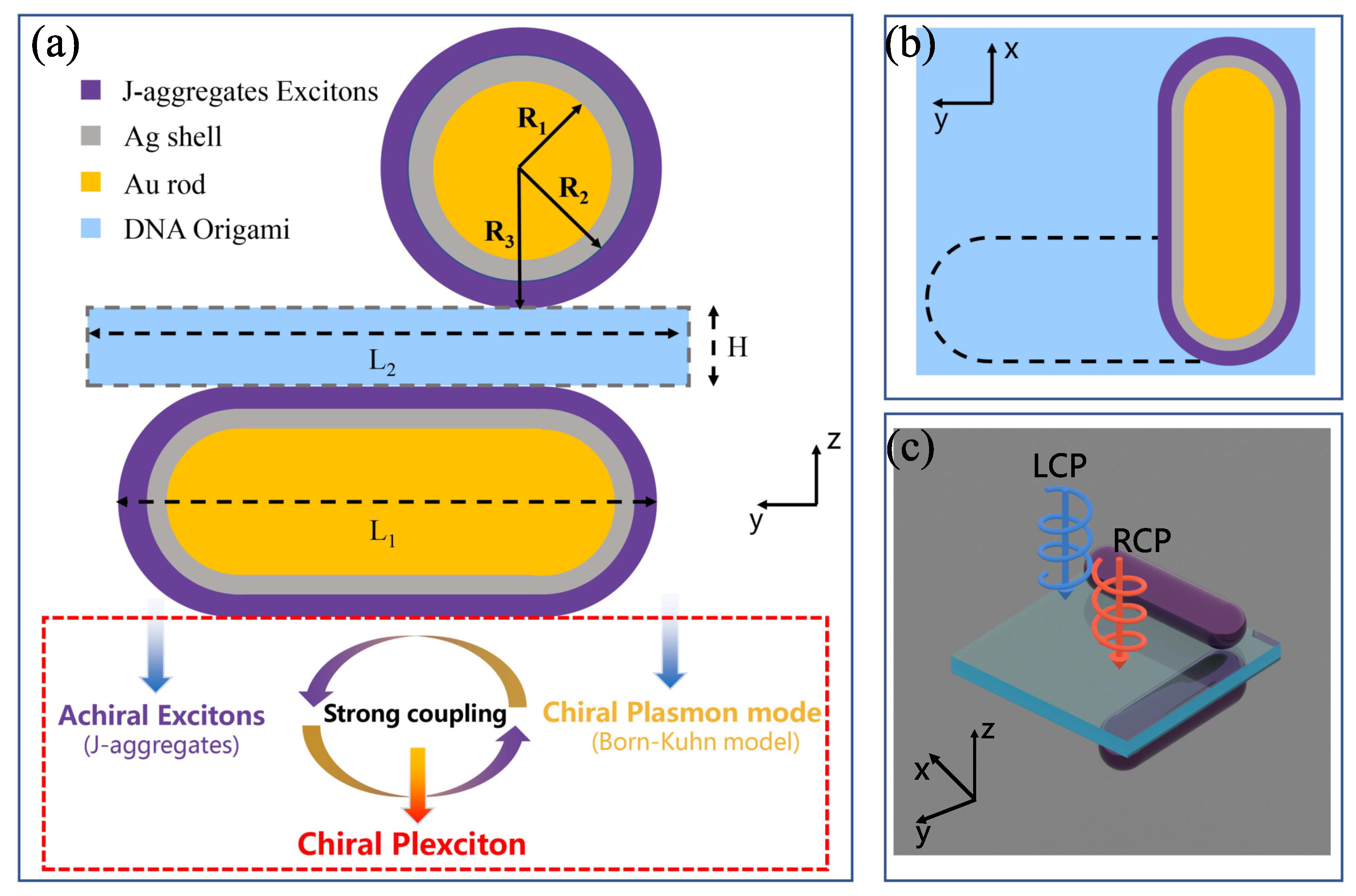 Nanomaterials 14 00705 g001