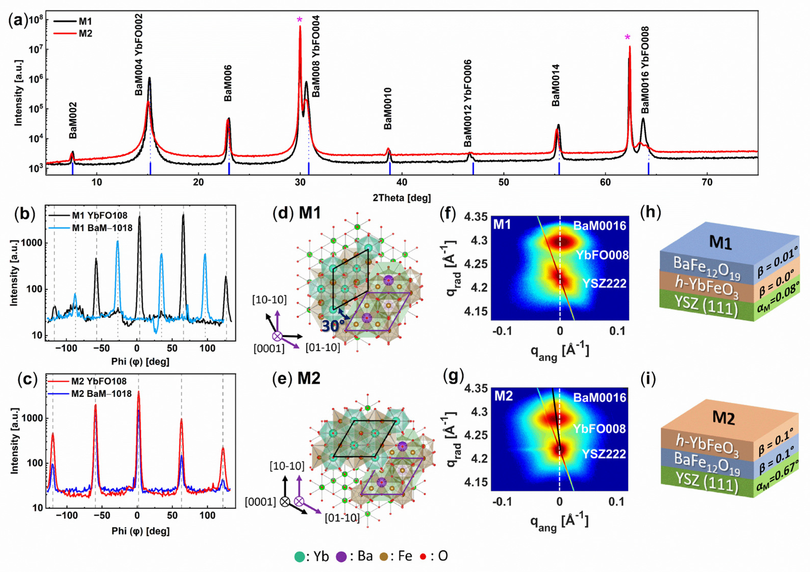 Nanomaterials 14 00711 g001
