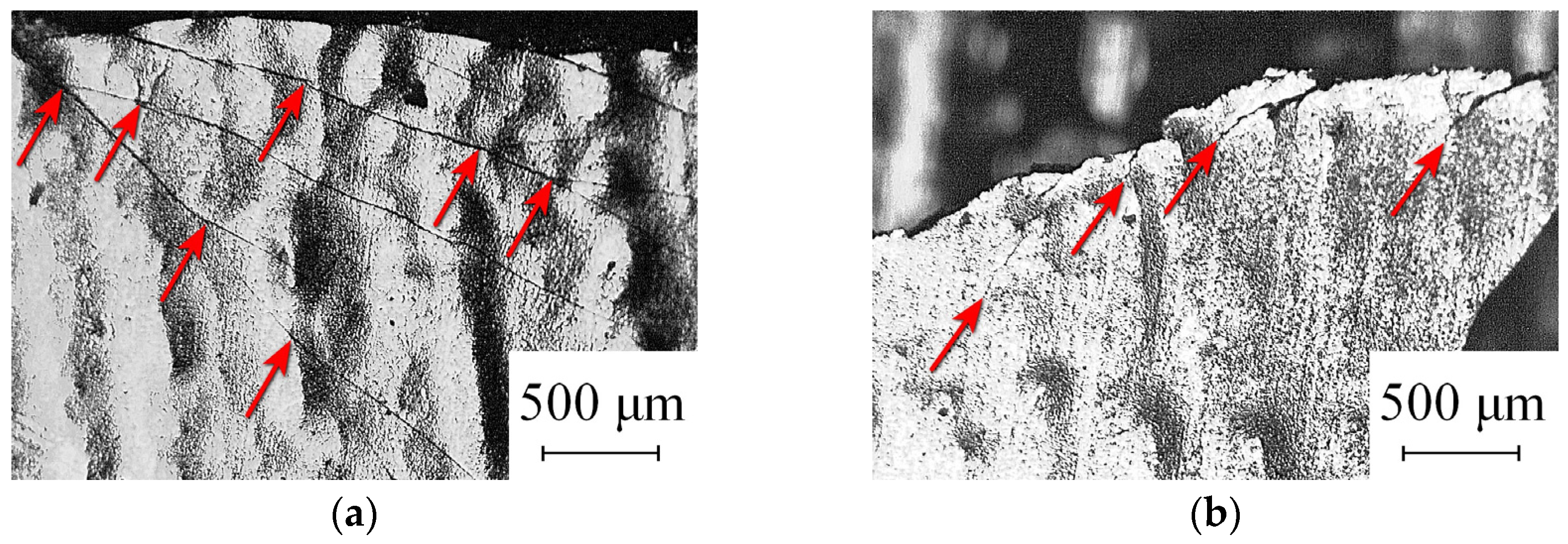Nanomaterials 14 00723 g002
