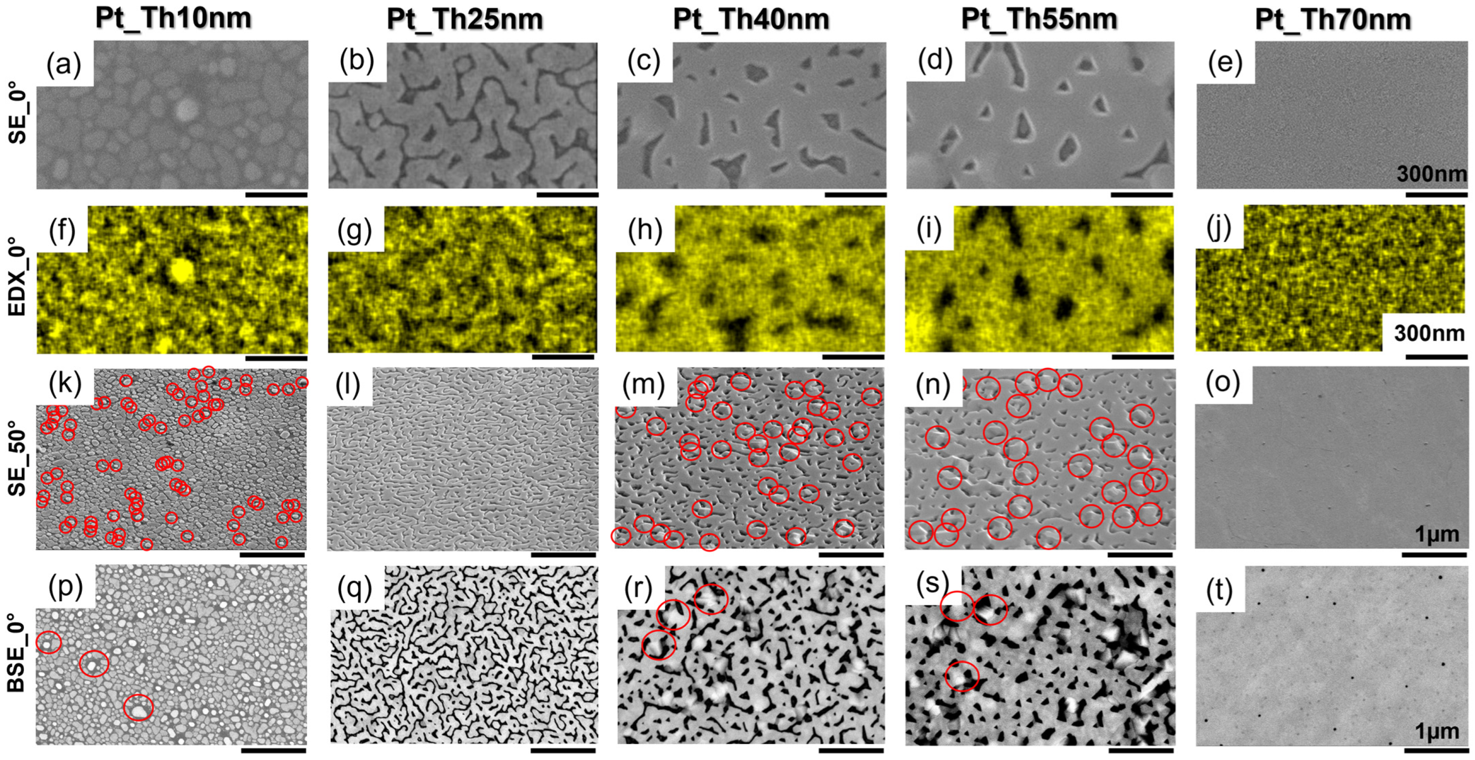 Nanomaterials 14 00725 g002 Nanomaterials 14 00725 g002