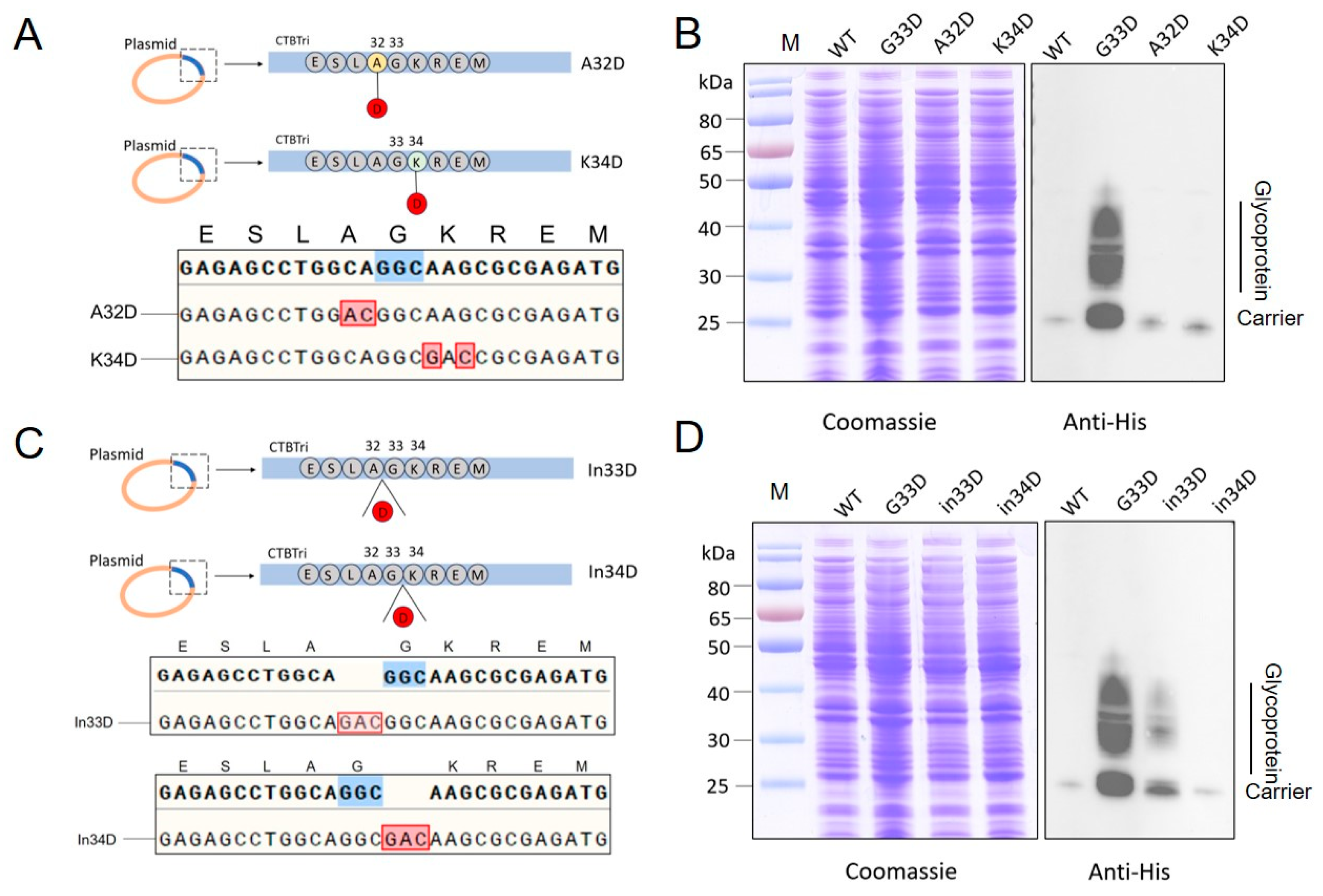 Nanomaterials 14 00728 g003