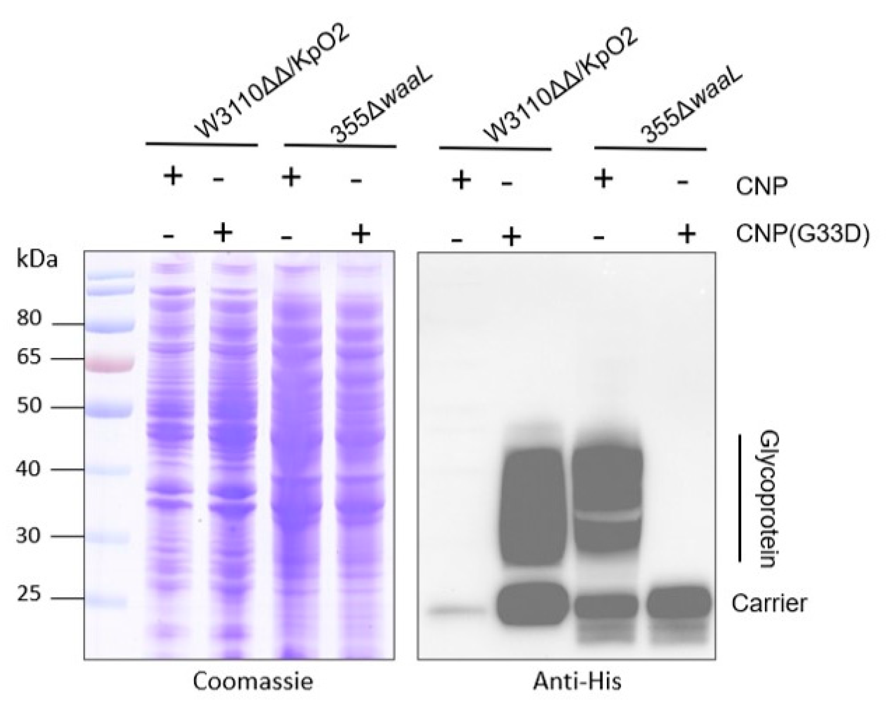 Nanomaterials 14 00728 g005