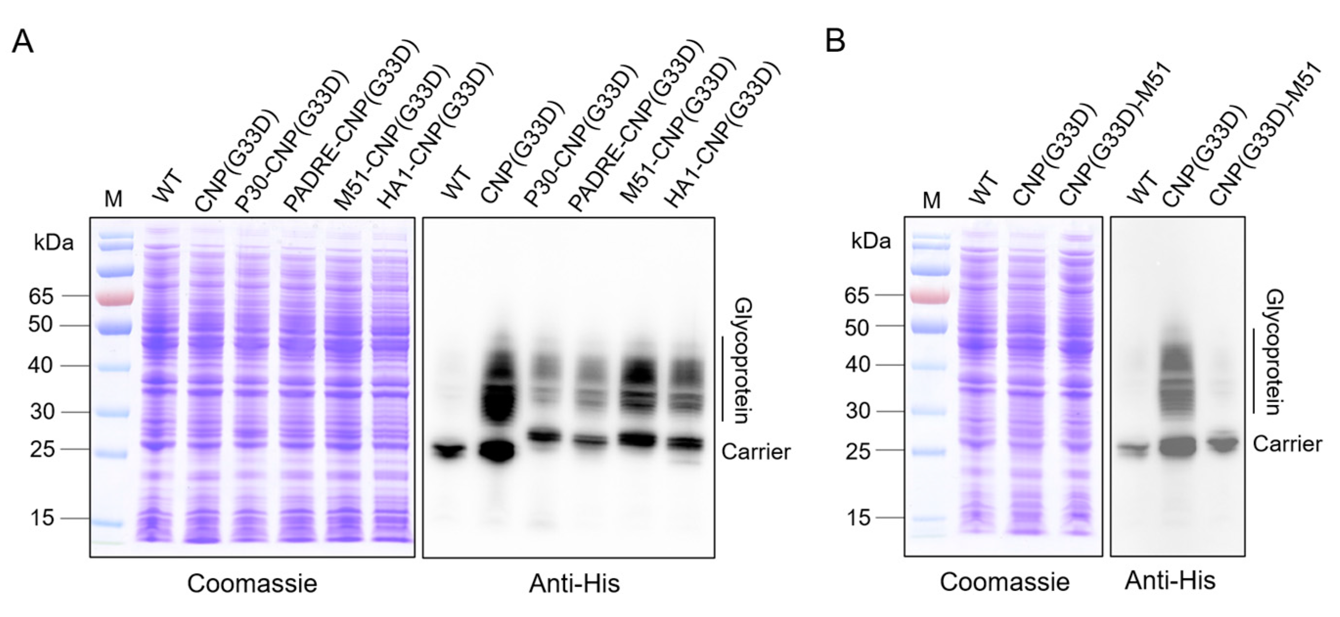 Nanomaterials 14 00728 g006