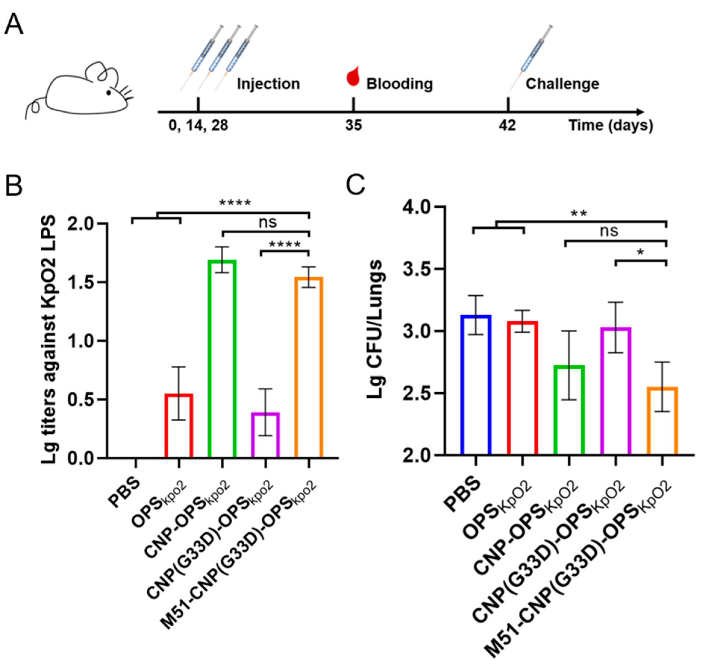 Nanomaterials 14 00728 g007