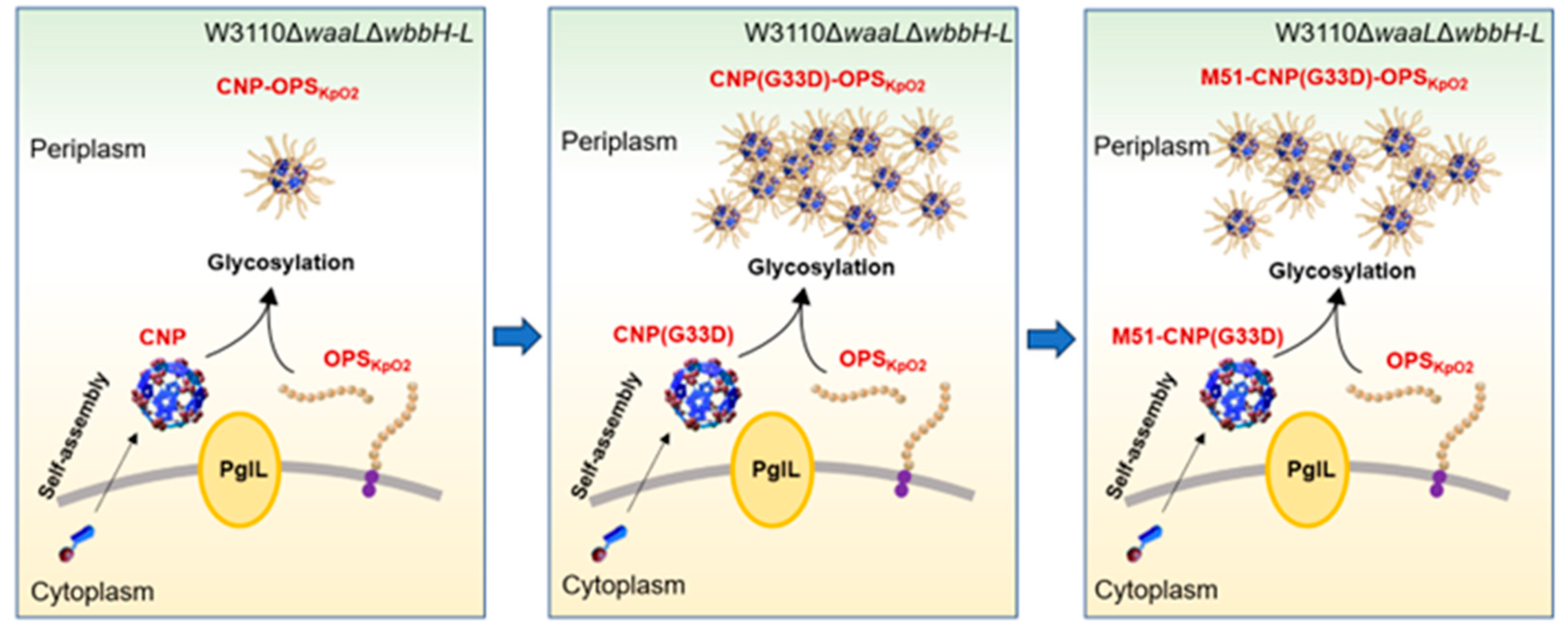 Nanomaterials 14 00728 g008