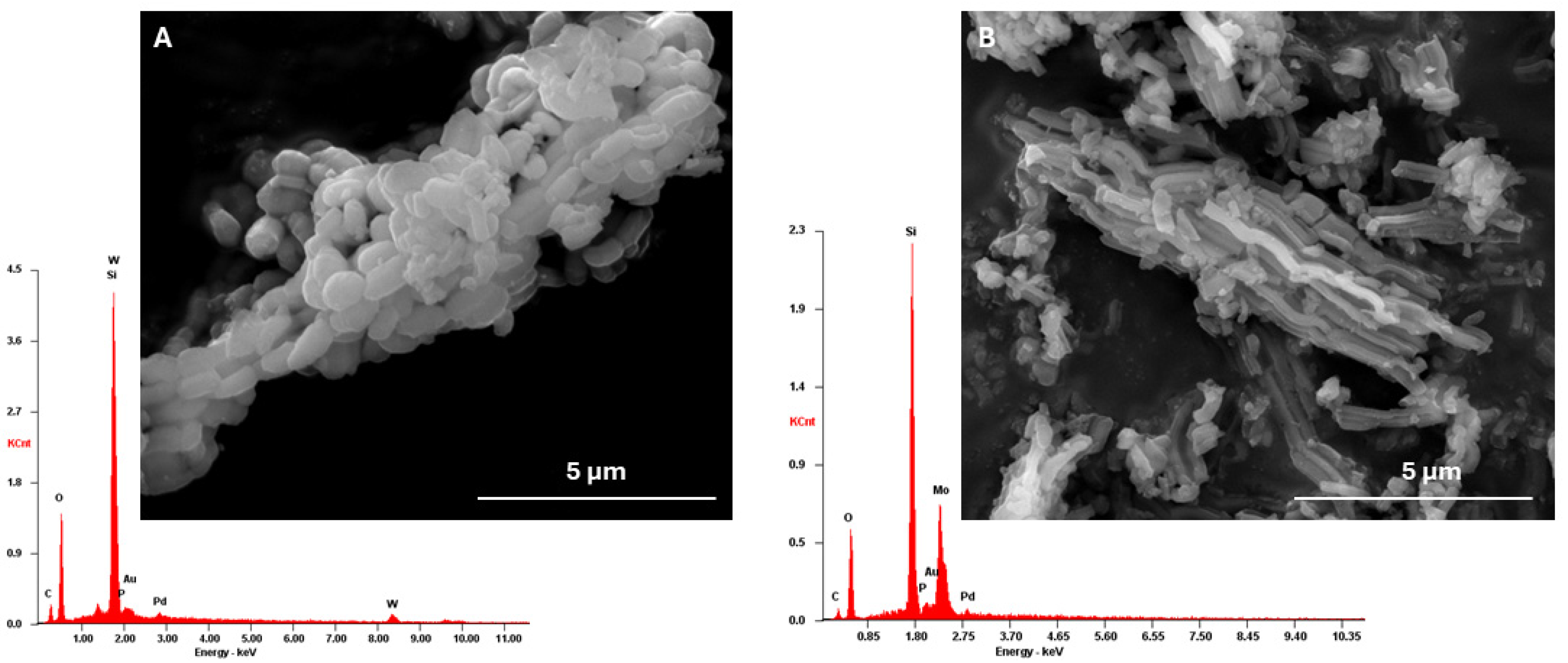 Nanomaterials 14 00733 g002