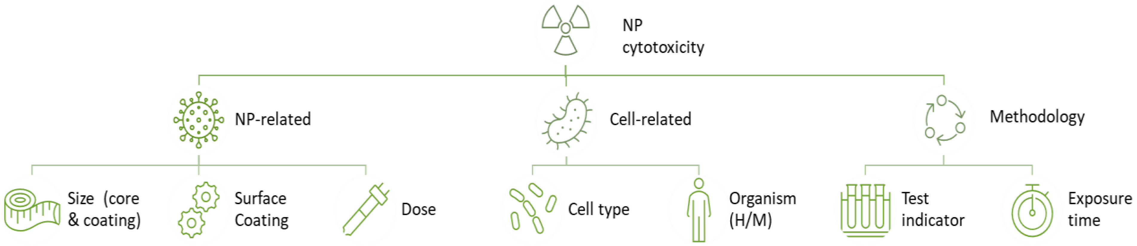 Nanomaterials 14 00734 g004