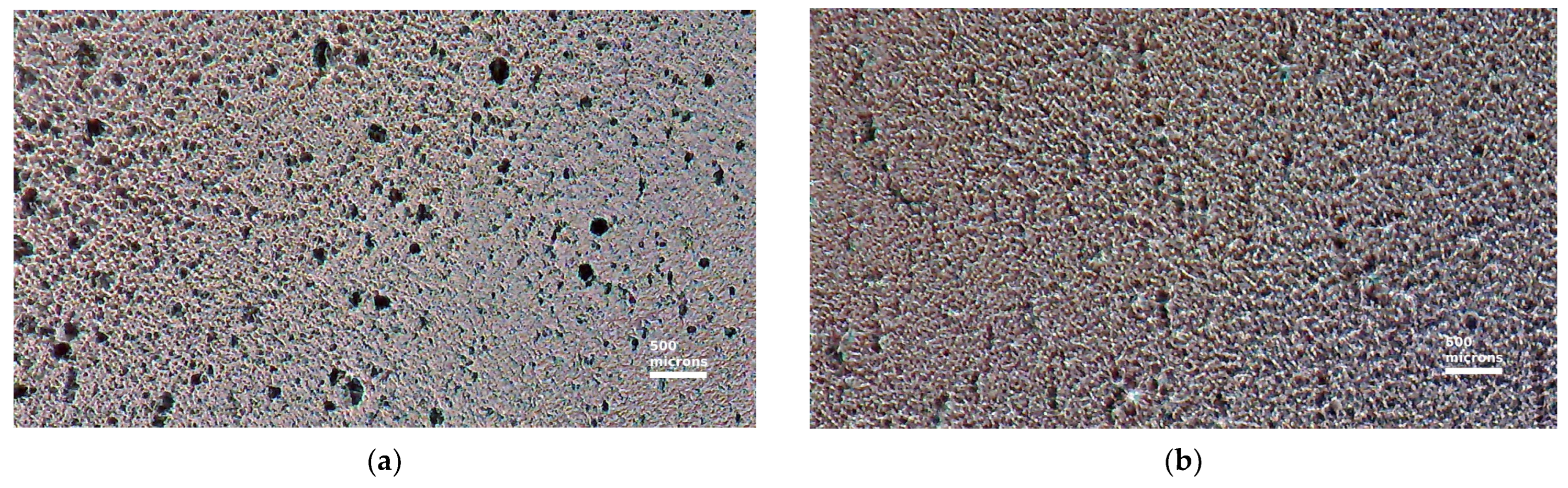 Nanomaterials 14 00737 g003