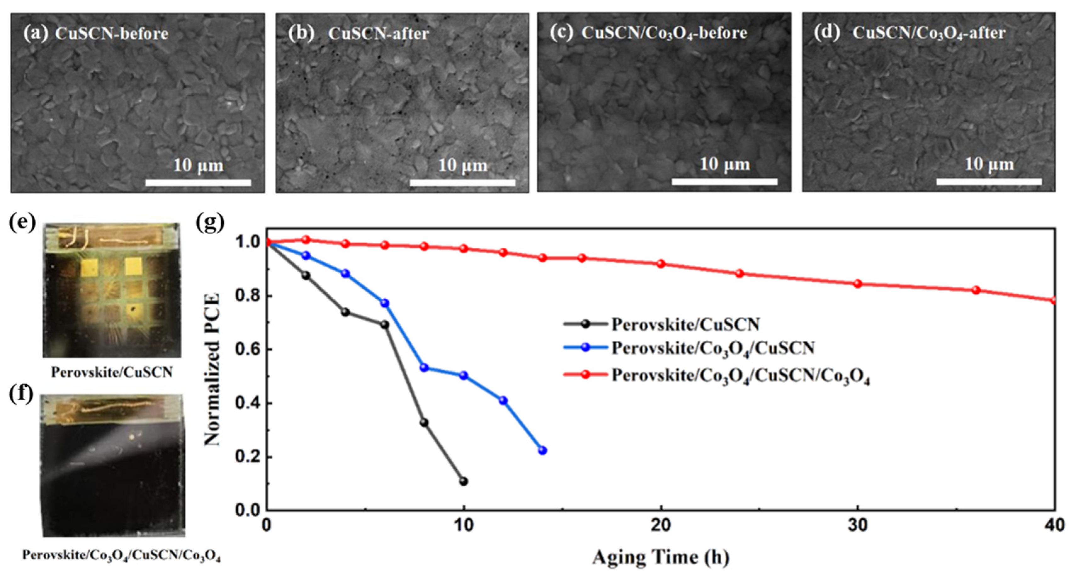 Nanomaterials 14 00742 g005