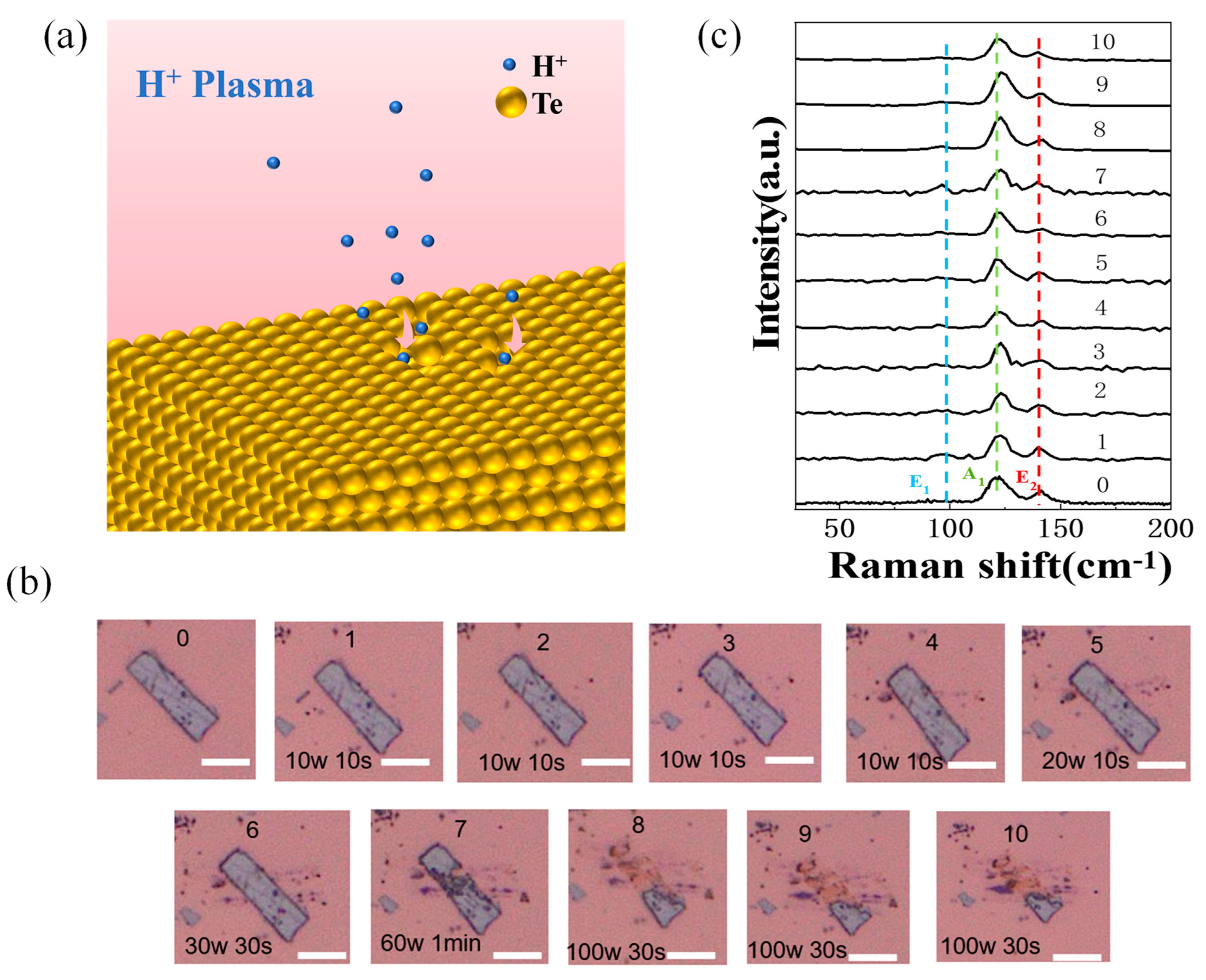 Nanomaterials 14 00750 g002