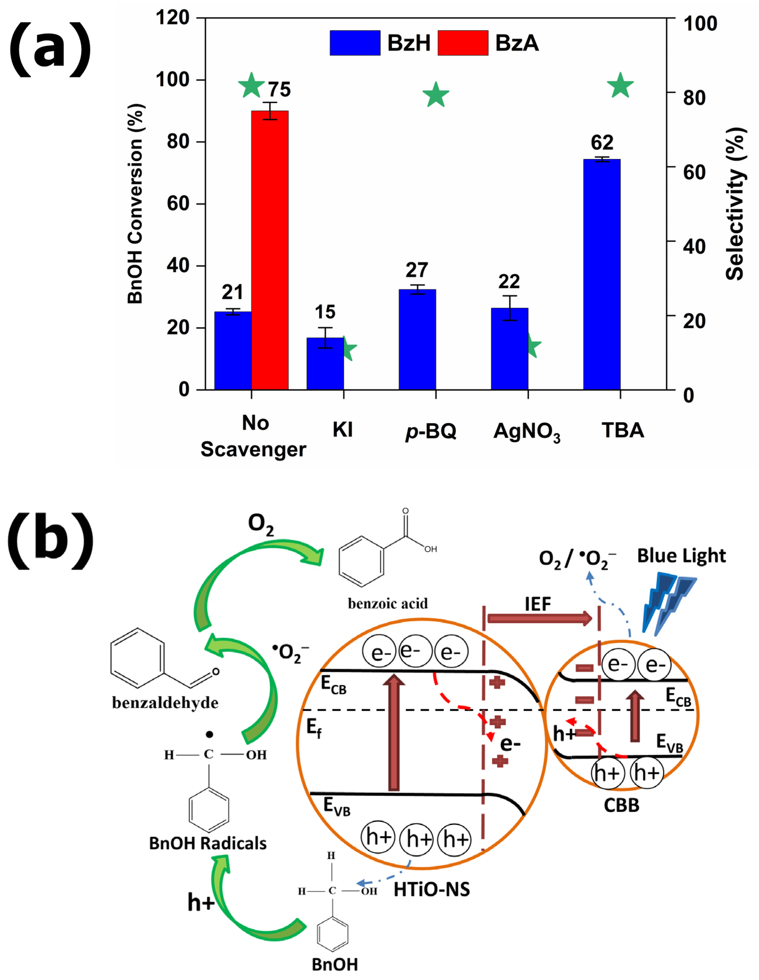 Nanomaterials 14 00752 g009