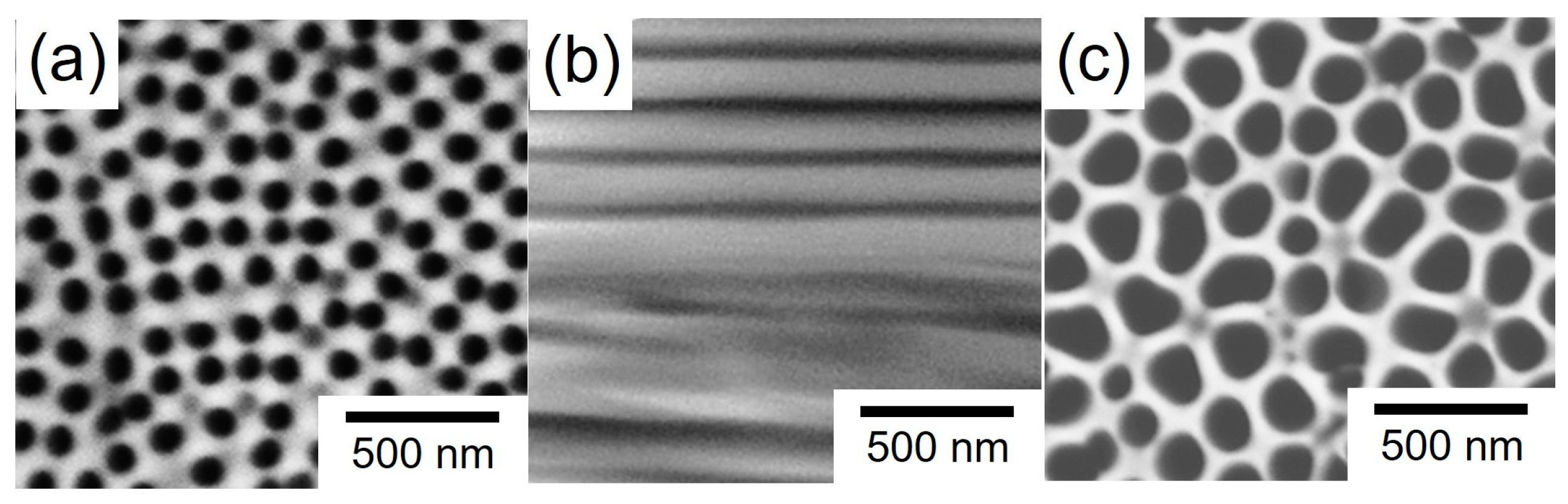 Nanomaterials 14 00755 g001