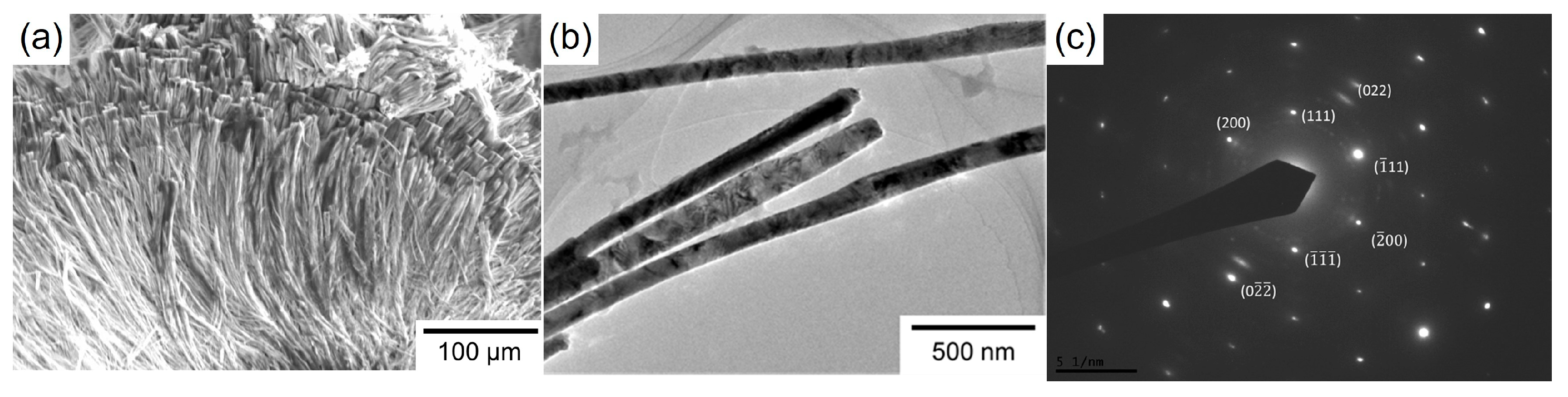 Nanomaterials 14 00755 g004