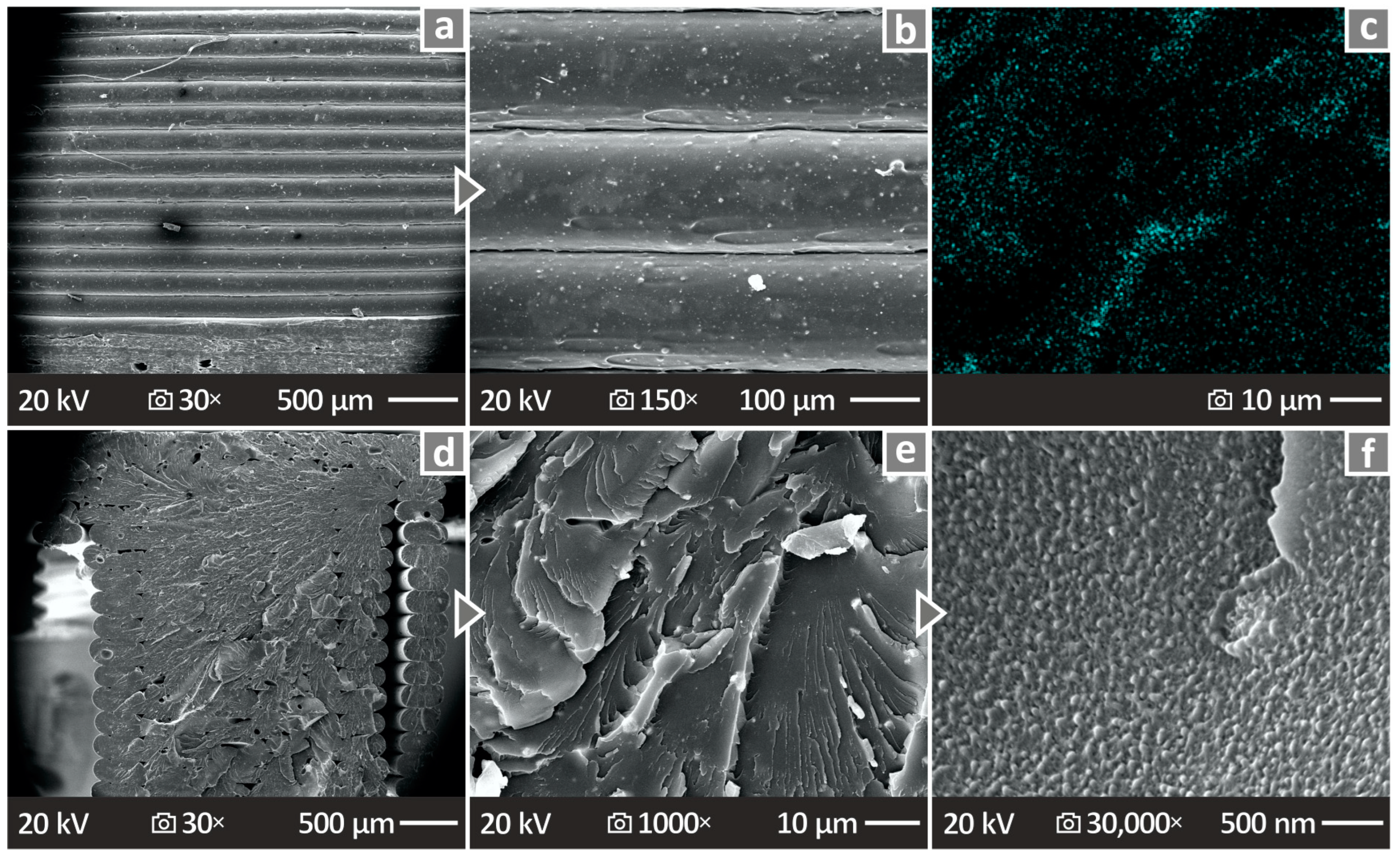 Nanomaterials 14 00761 g016