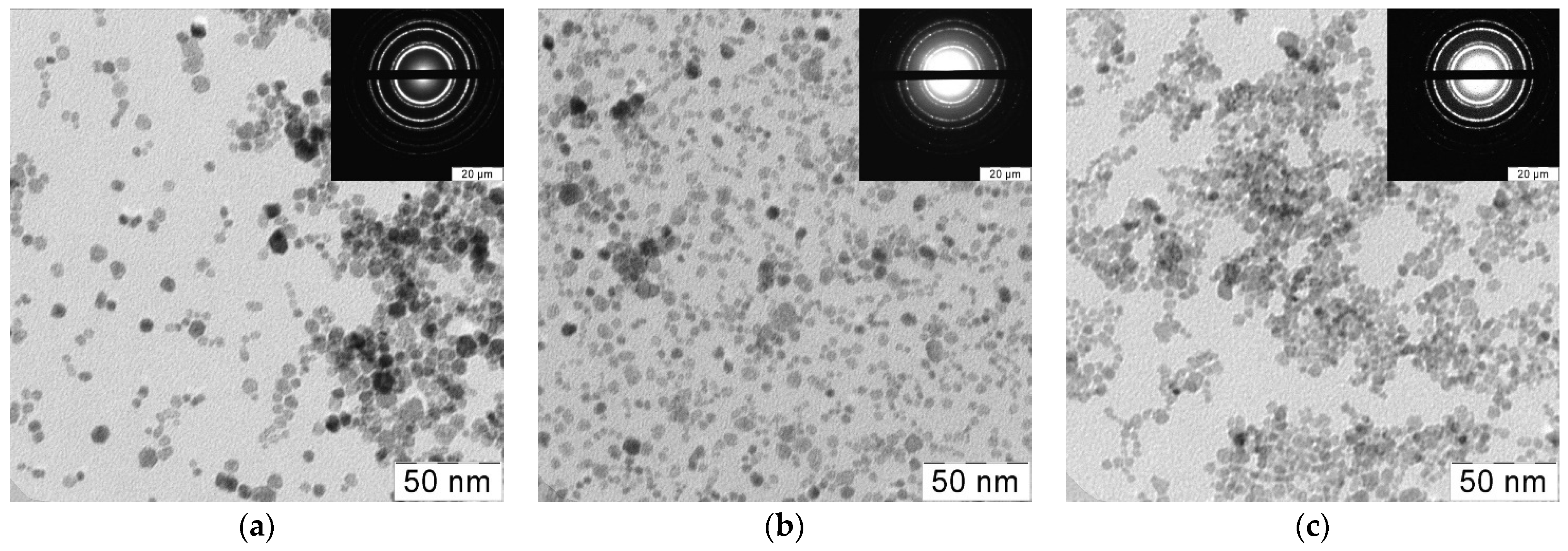 Nanomaterials 14 00769 g004
