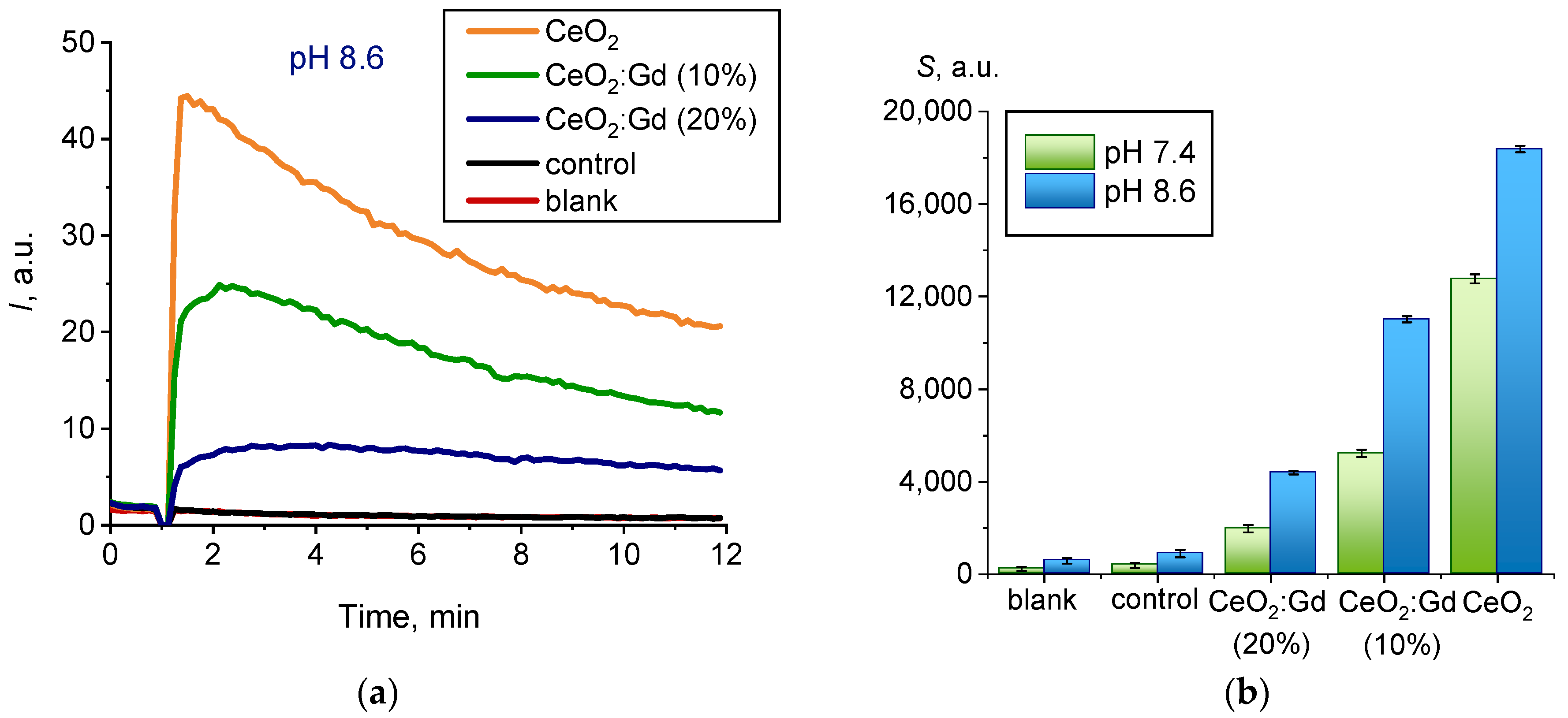 Nanomaterials 14 00769 g010
