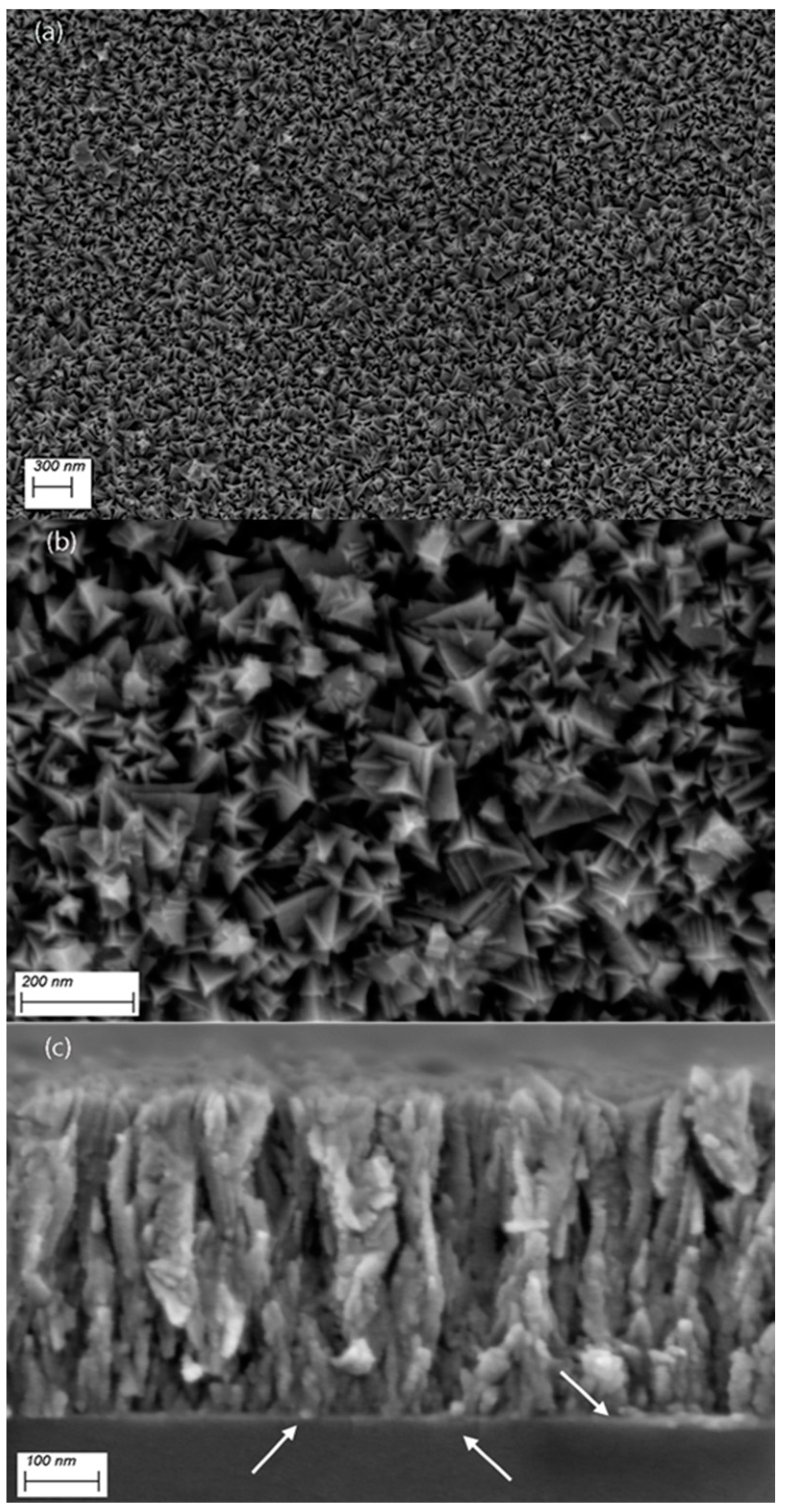Nanomaterials 14 00770 g002