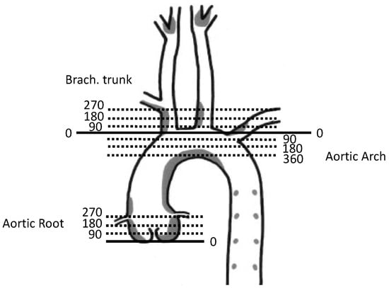 Nanomaterials 14 00773 g0a2