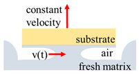 Nanomaterials 14 00776 i001