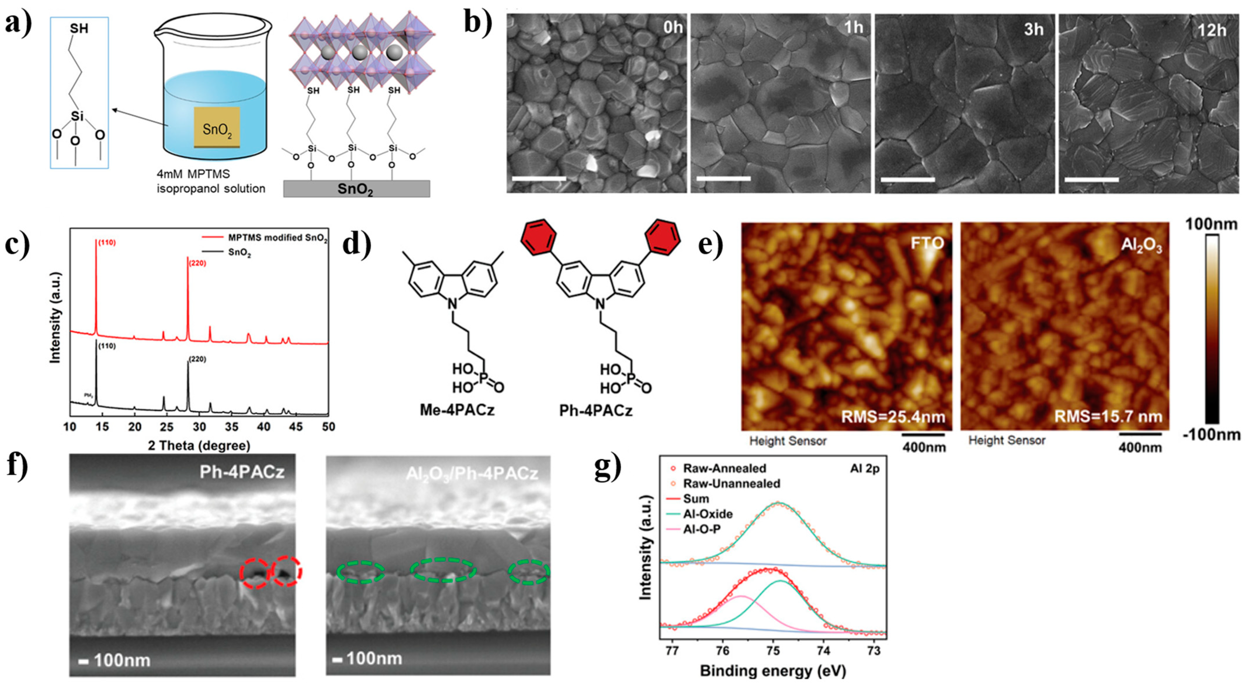 Nanomaterials 14 00779 g004