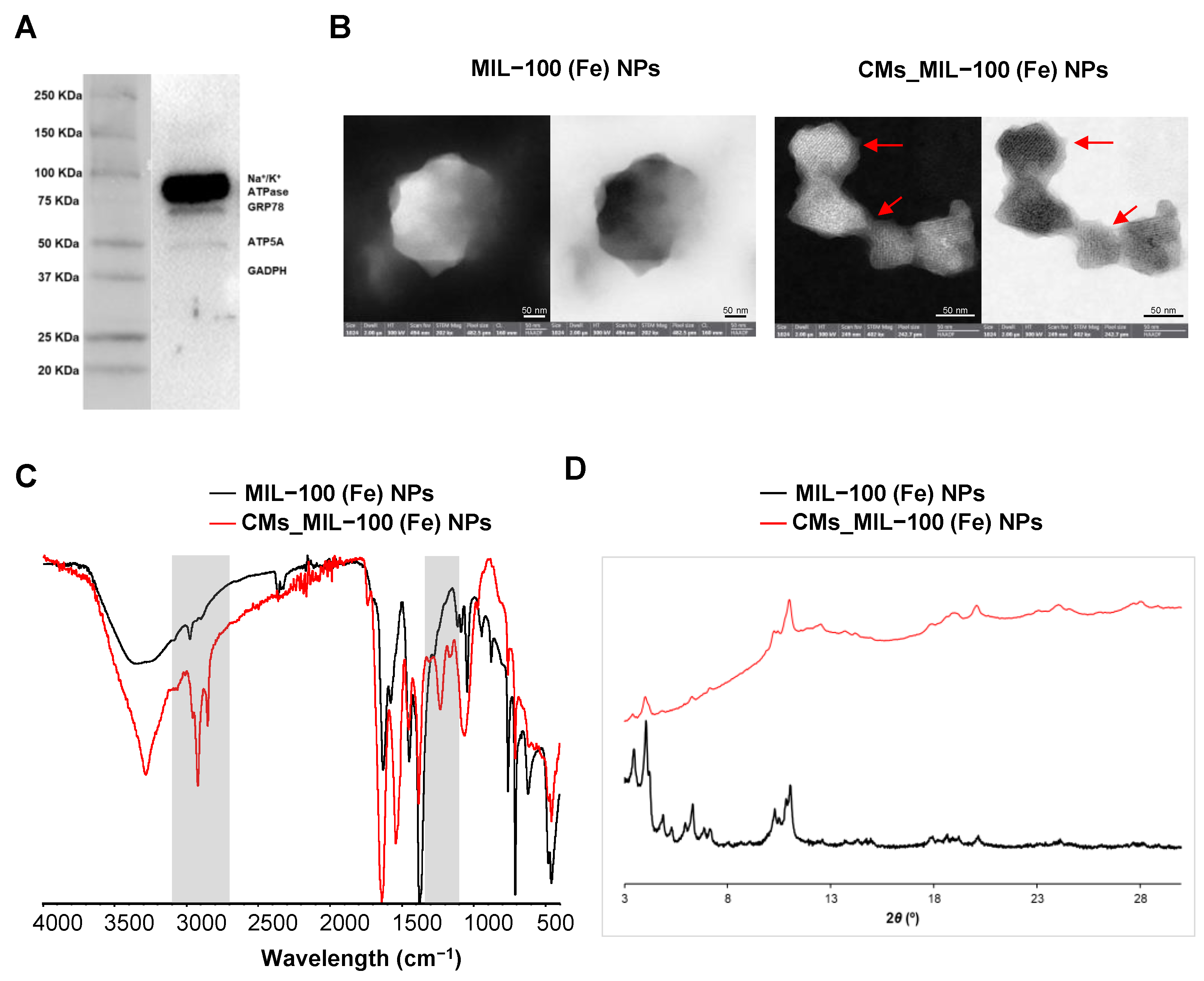 Nanomaterials 14 00784 g001