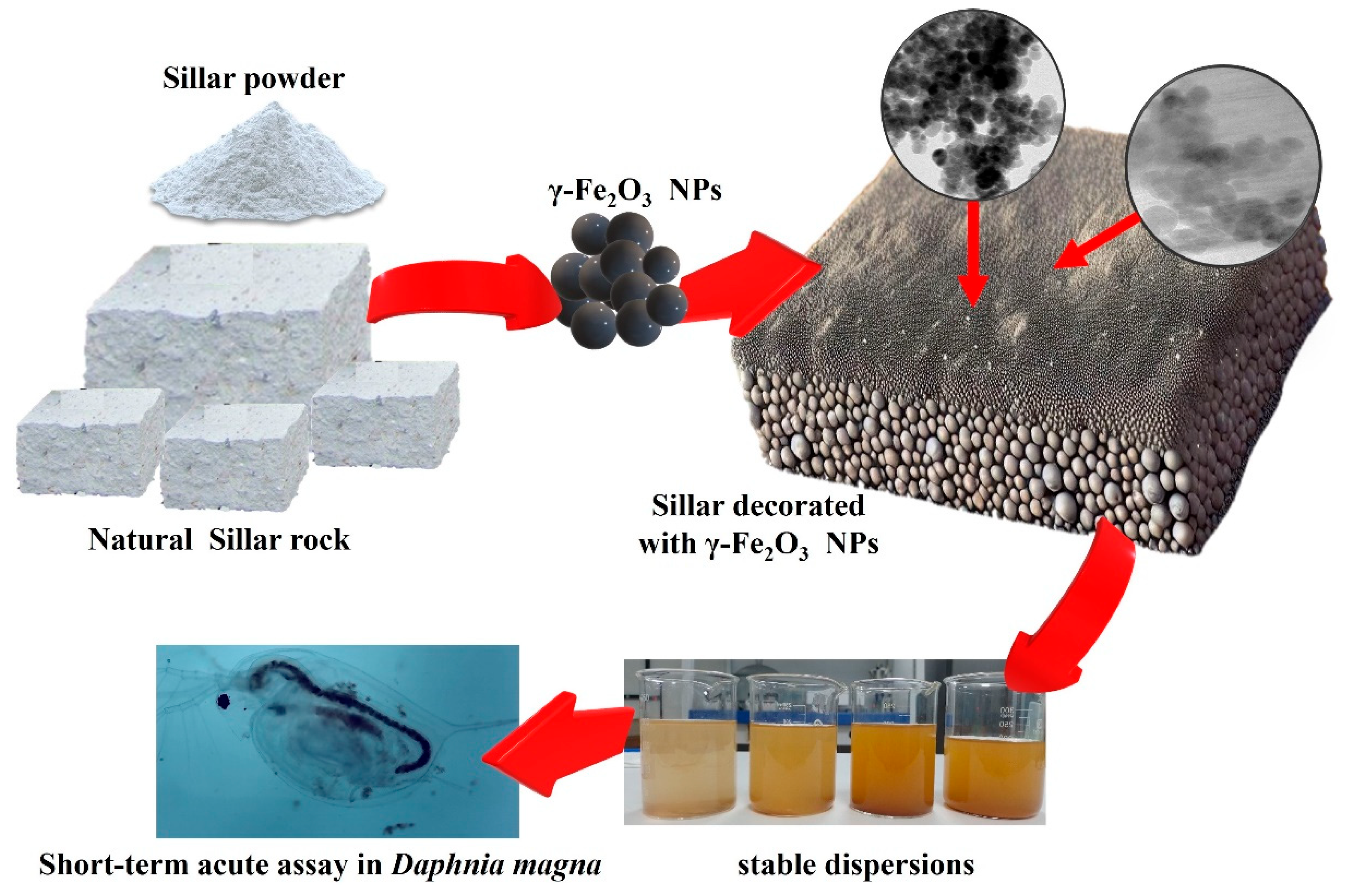 Nanomaterials 14 00785 sch001 Nanomaterials 14 00785 sch001