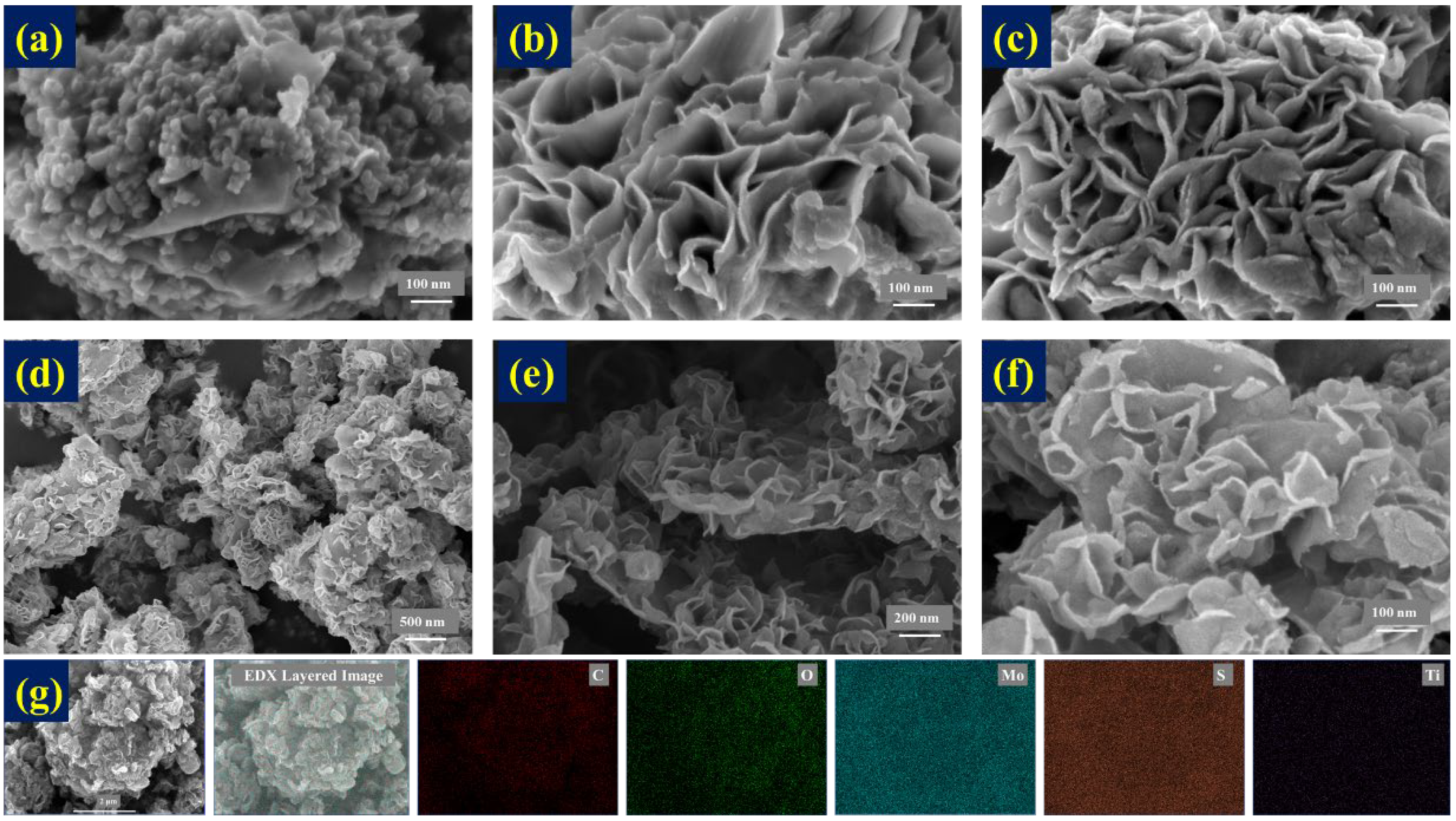 Nanomaterials 14 00786 g002