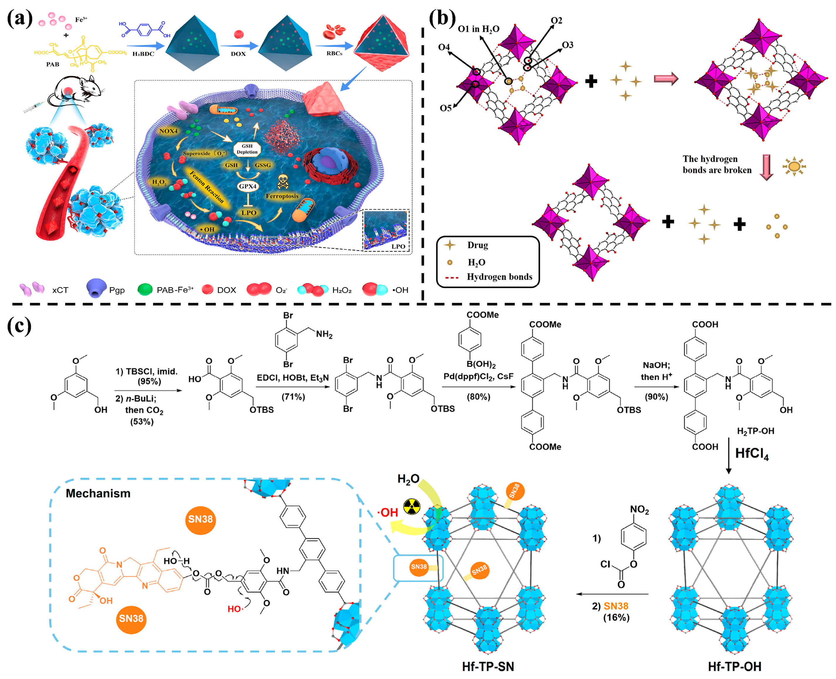 Nanomaterials 14 00797 g003