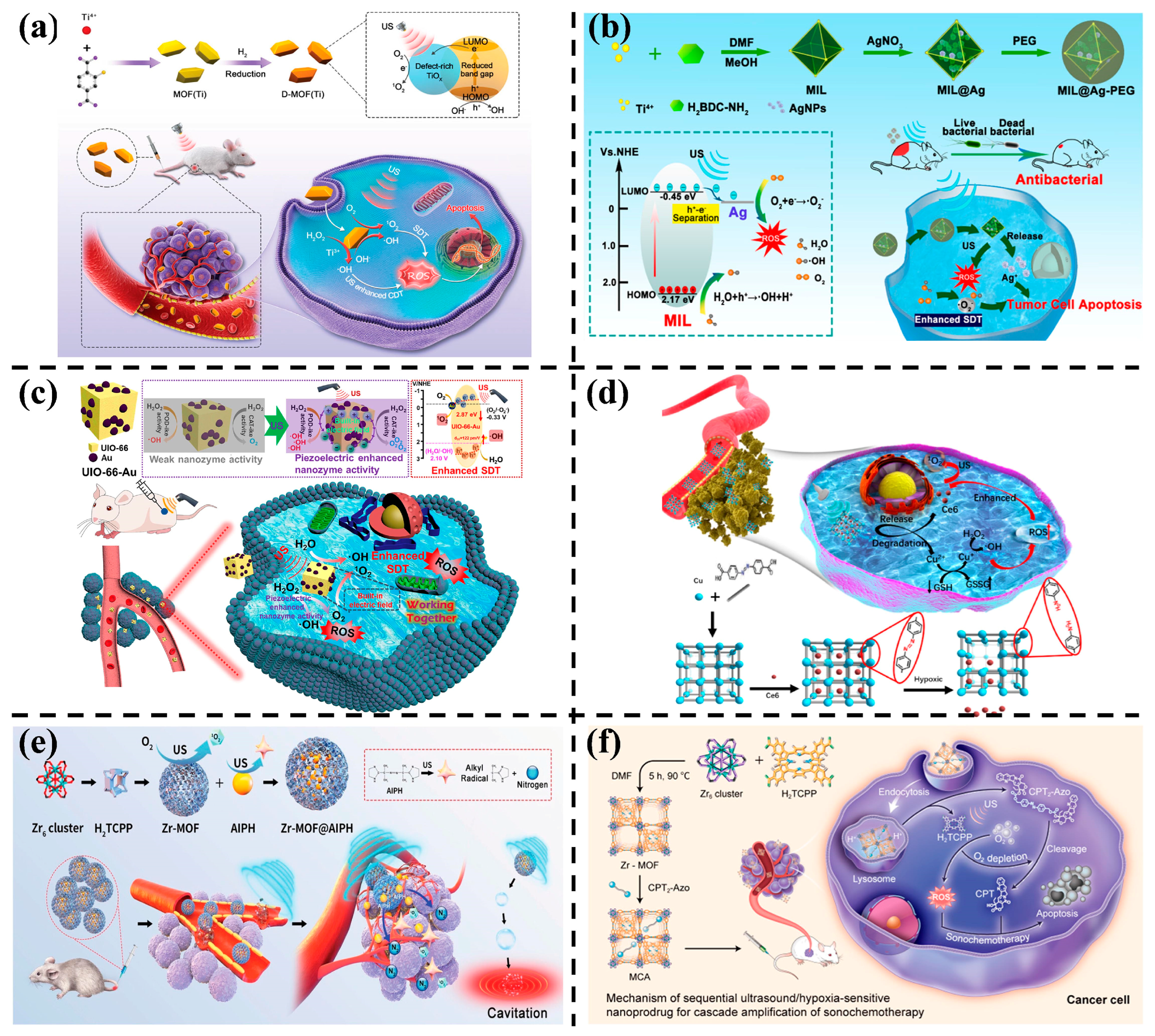 Nanomaterials 14 00797 g005