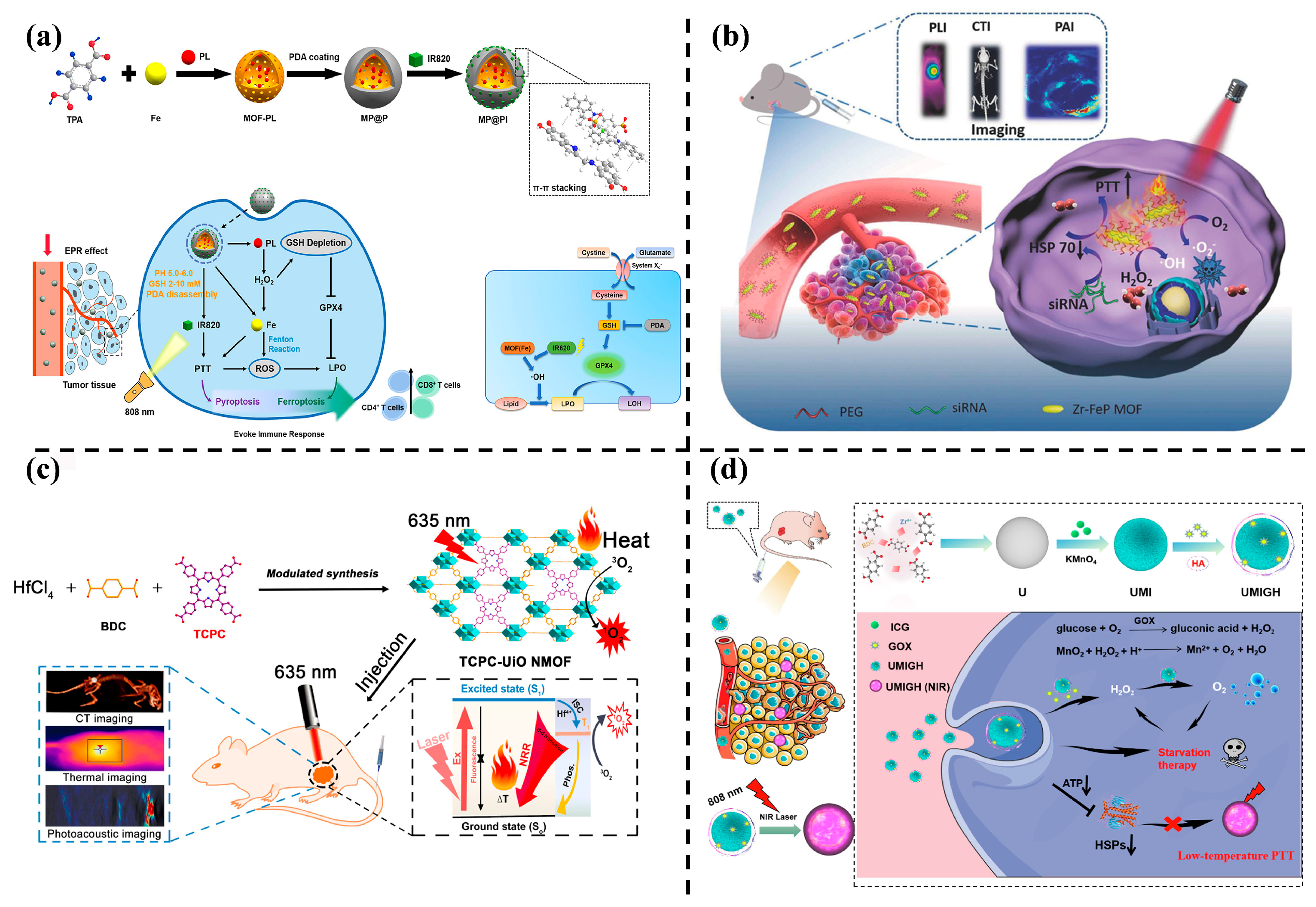 Nanomaterials 14 00797 g006