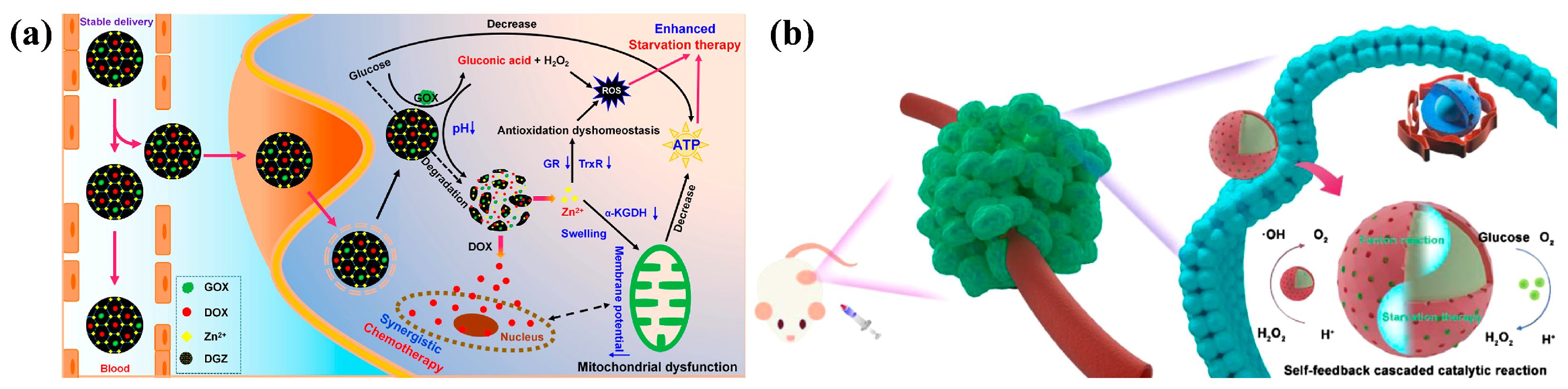 Nanomaterials 14 00797 g008