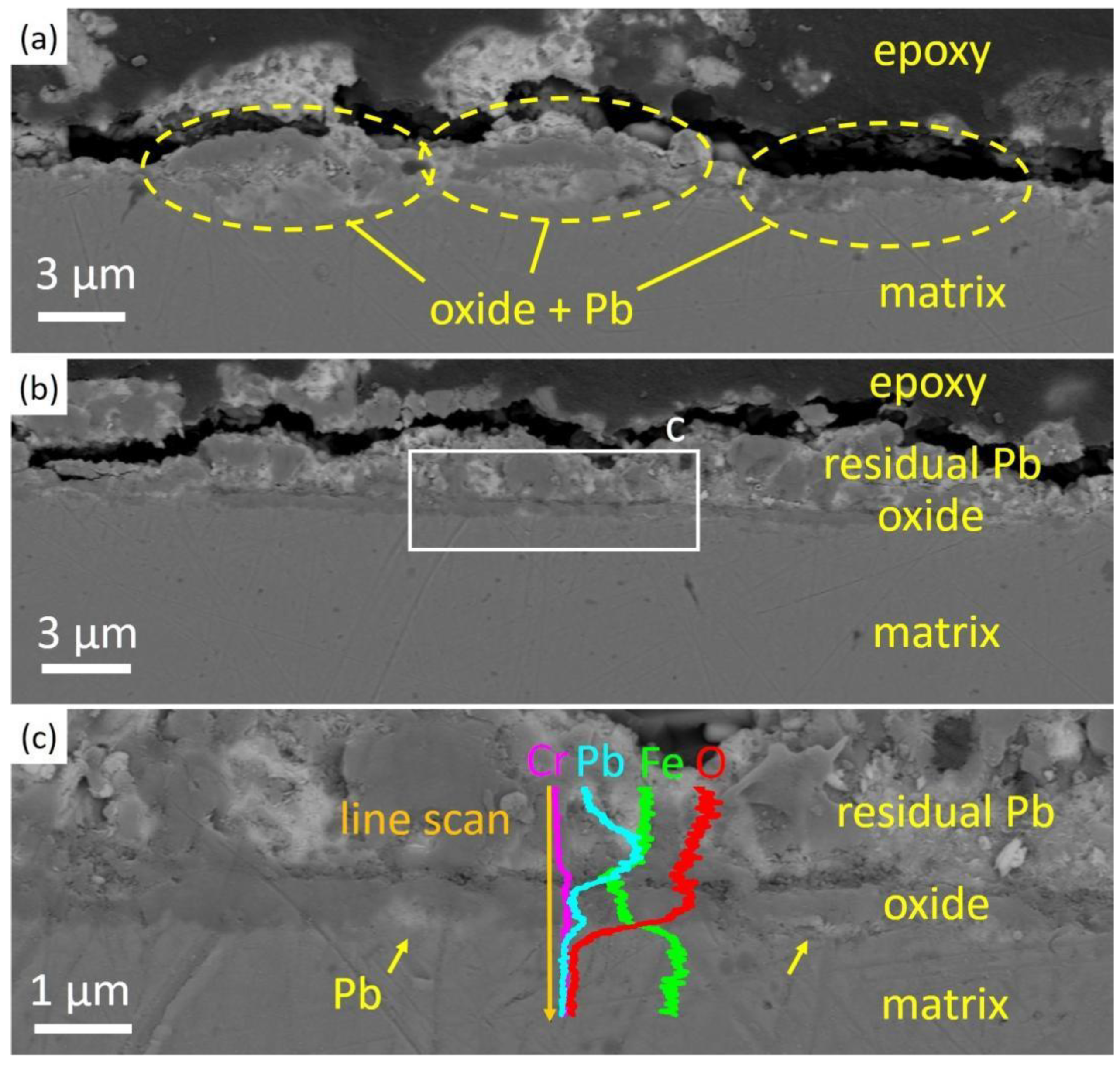 Nanomaterials 14 00798 g003