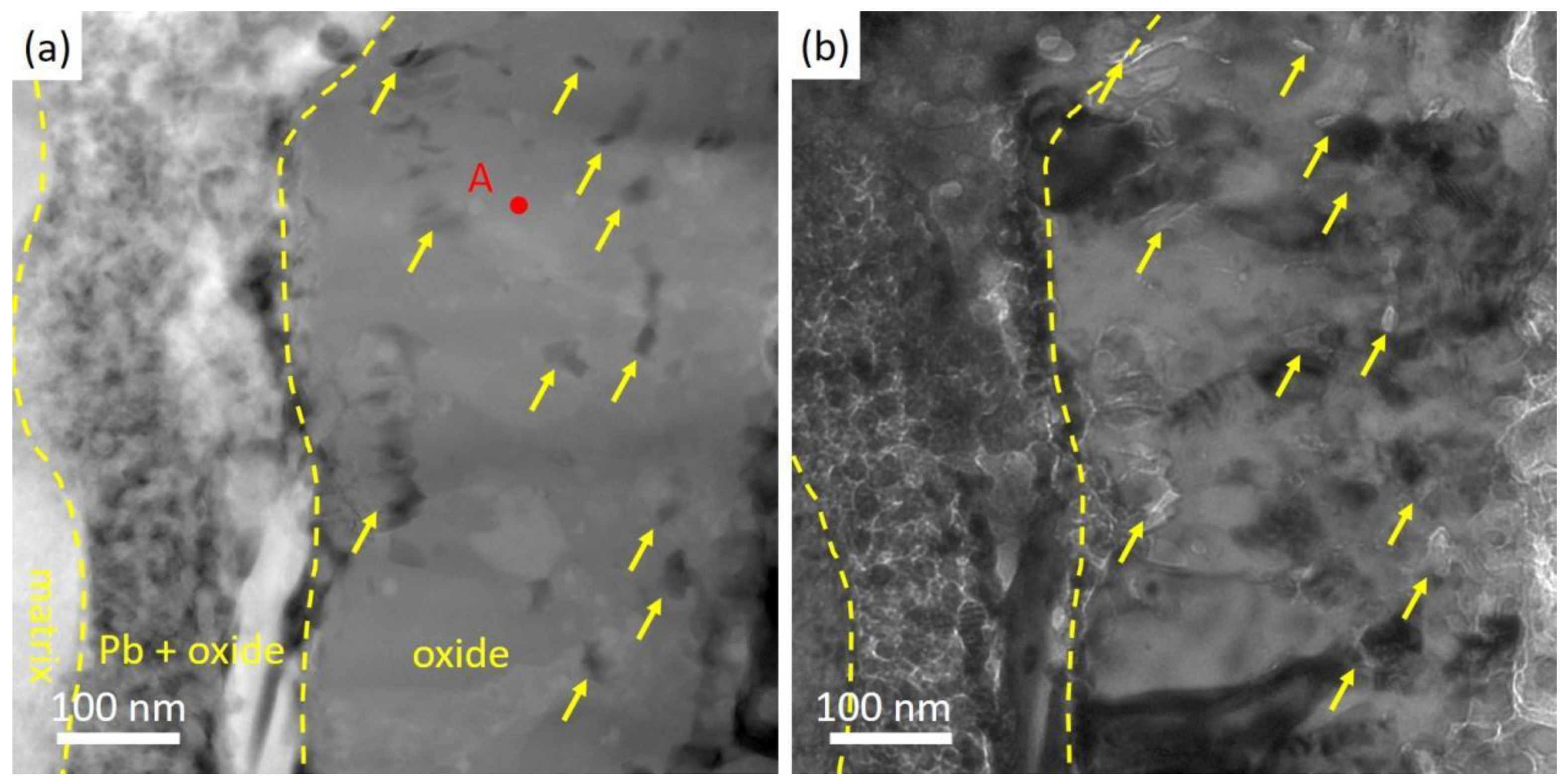 Nanomaterials 14 00798 g005