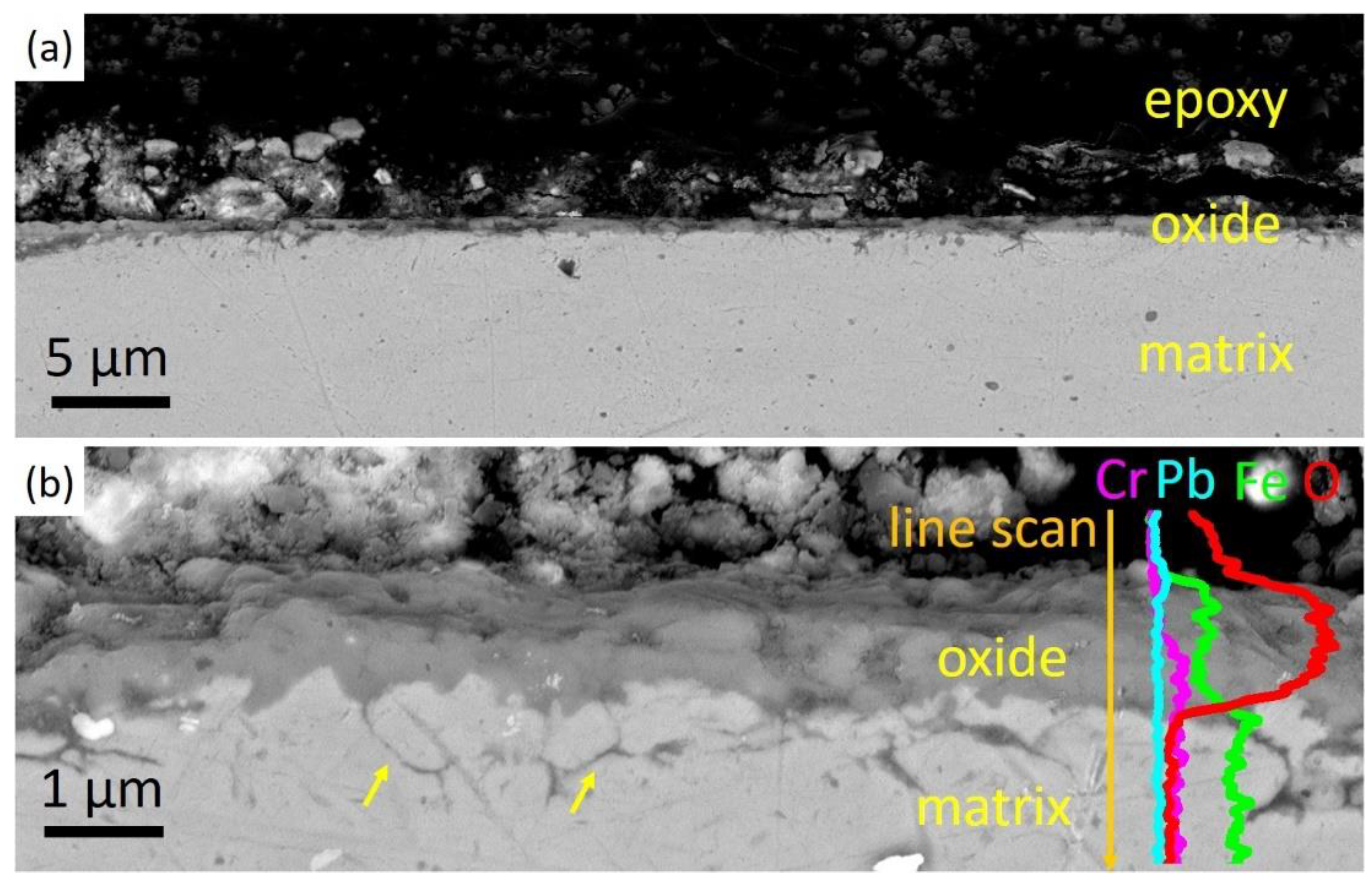 Nanomaterials 14 00798 g007