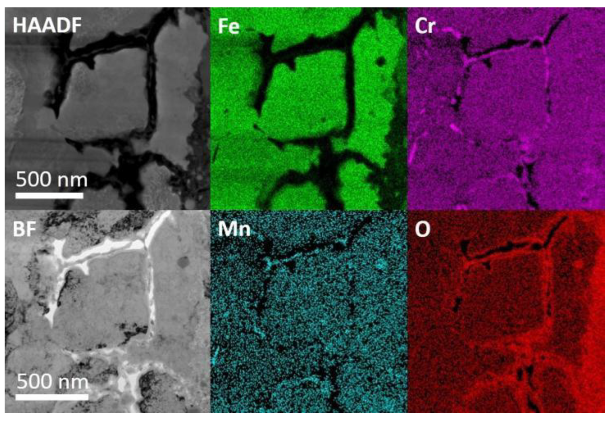 Nanomaterials 14 00798 g010