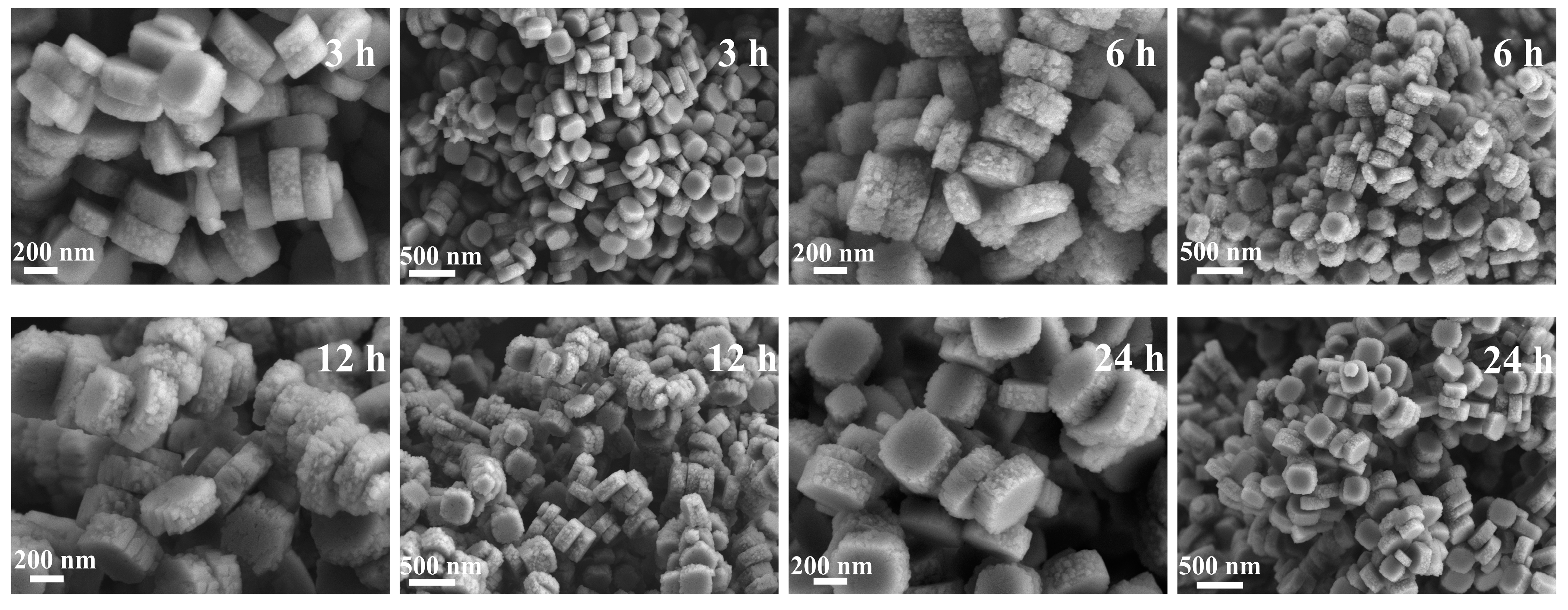 Nanomaterials 14 00802 g009 Nanomaterials 14 00802 g009