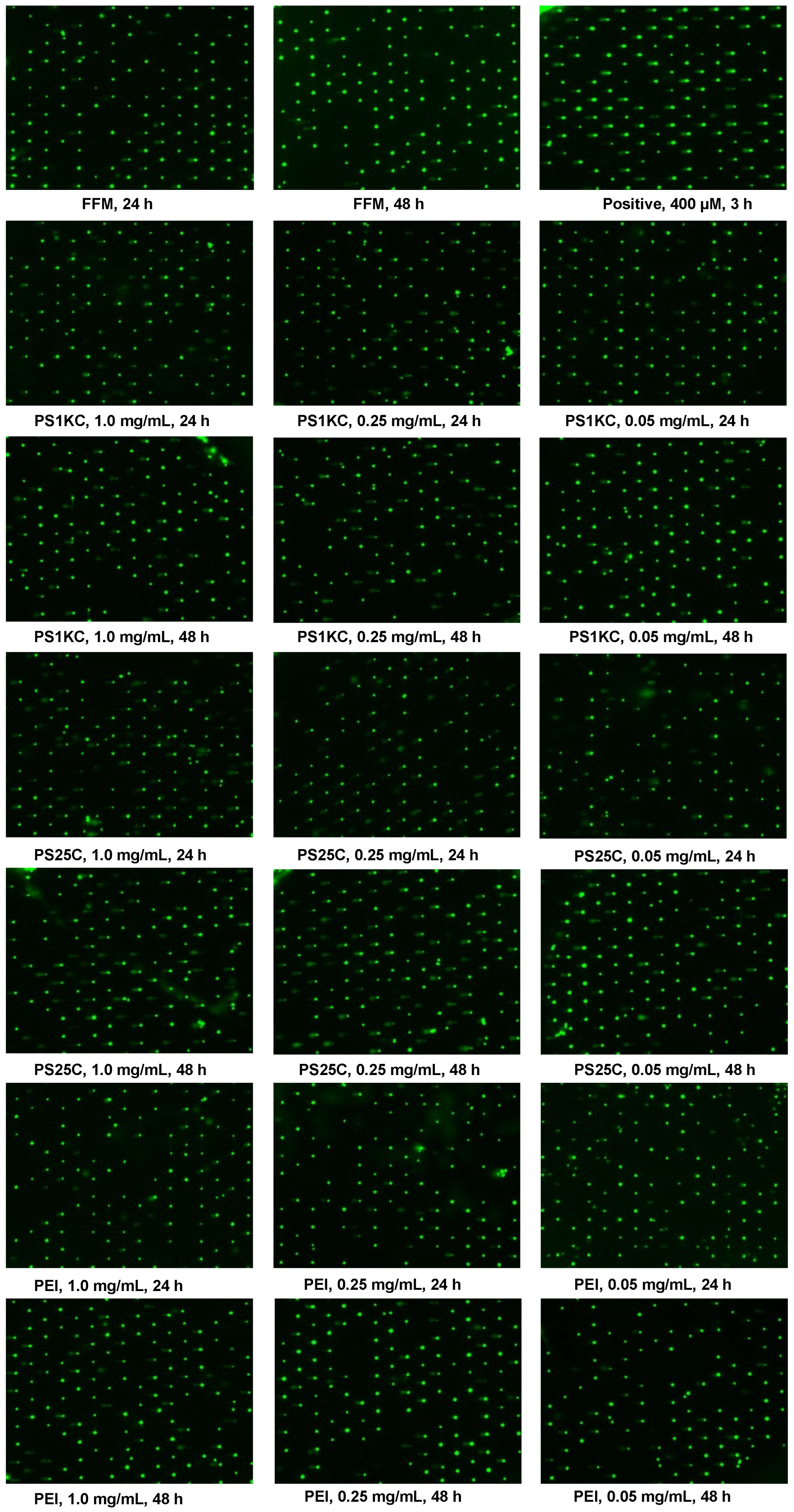 Nanomaterials 14 00807 g003