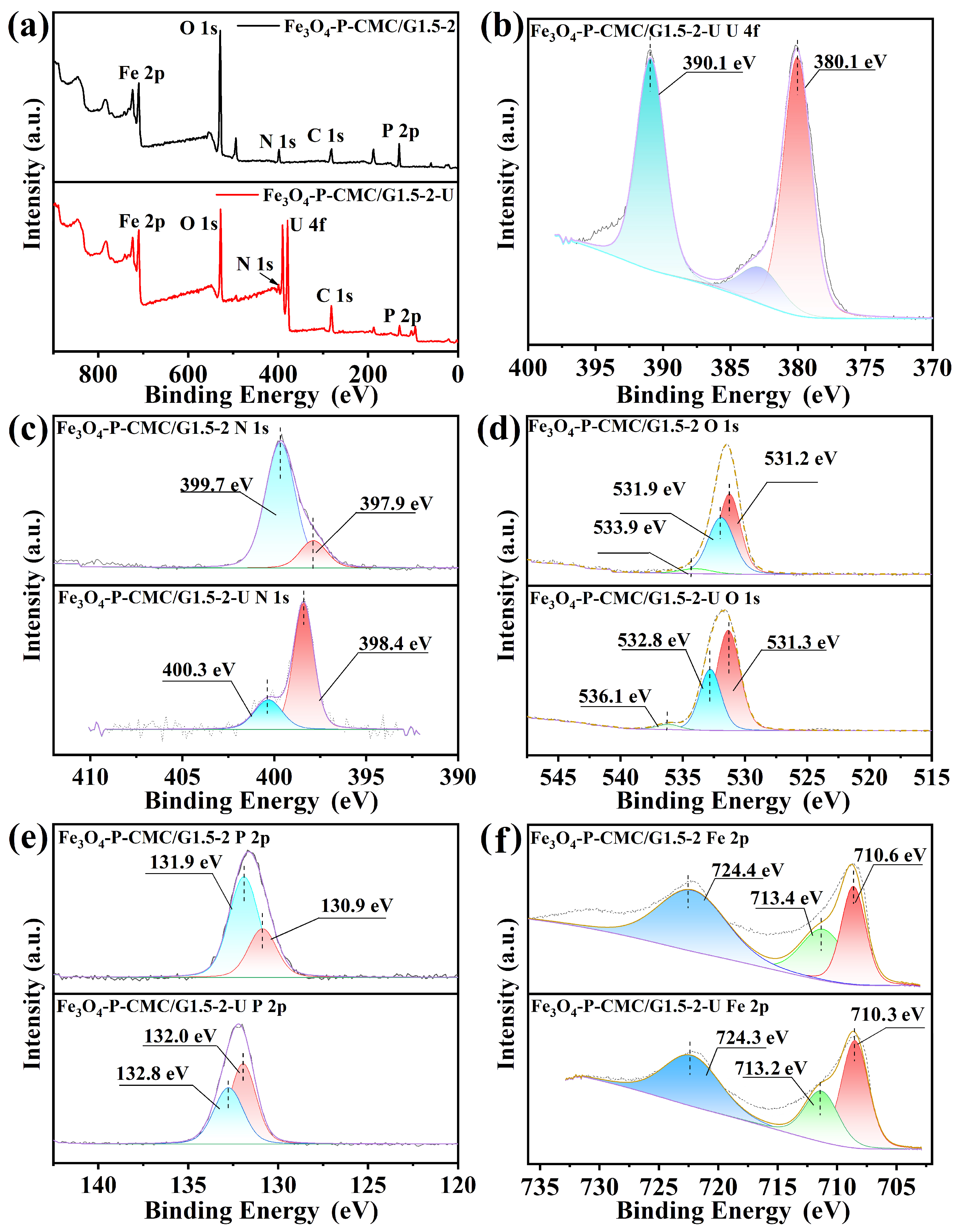 Nanomaterials 14 00810 g015