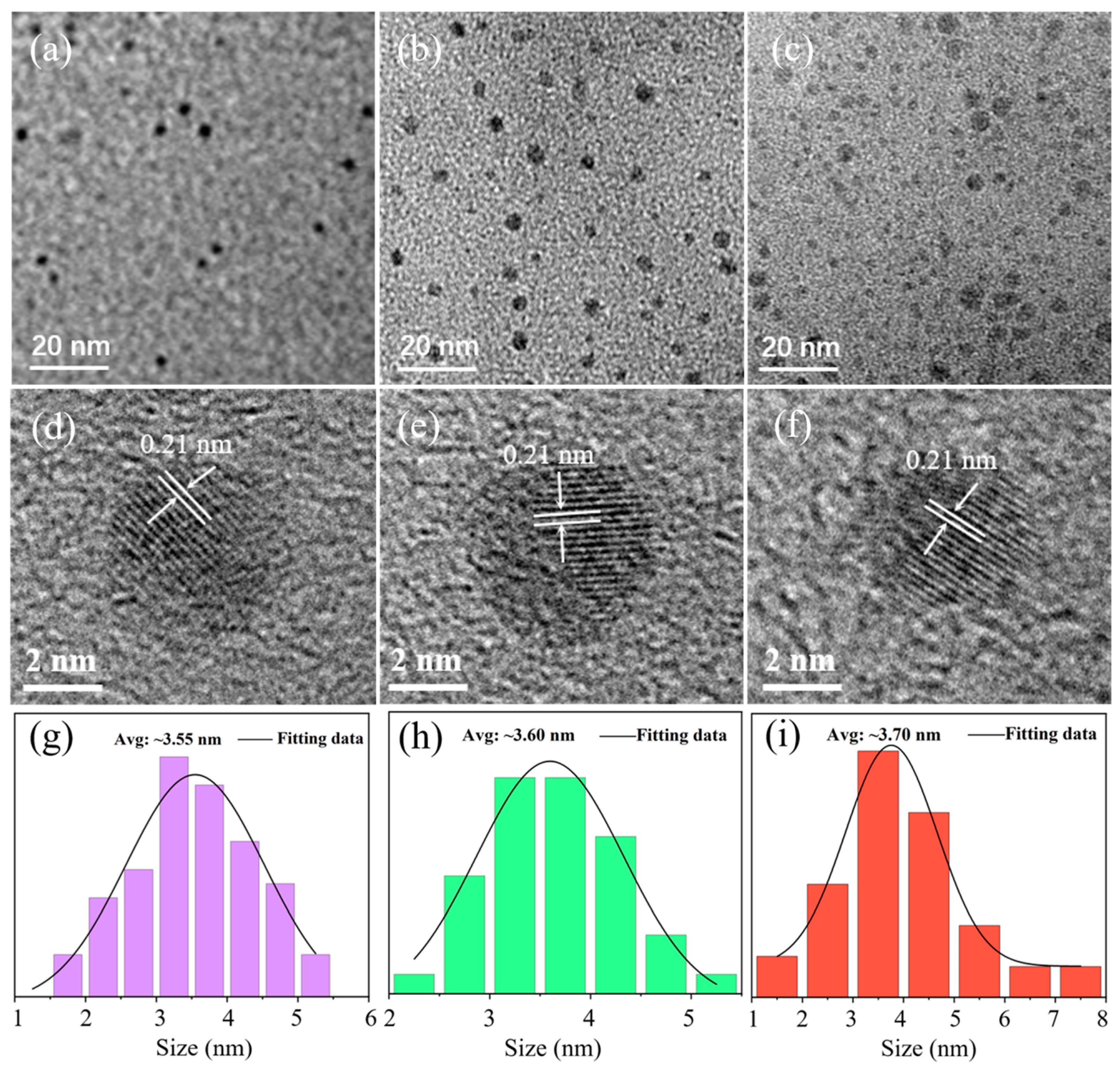 Nanomaterials 14 00813 g001