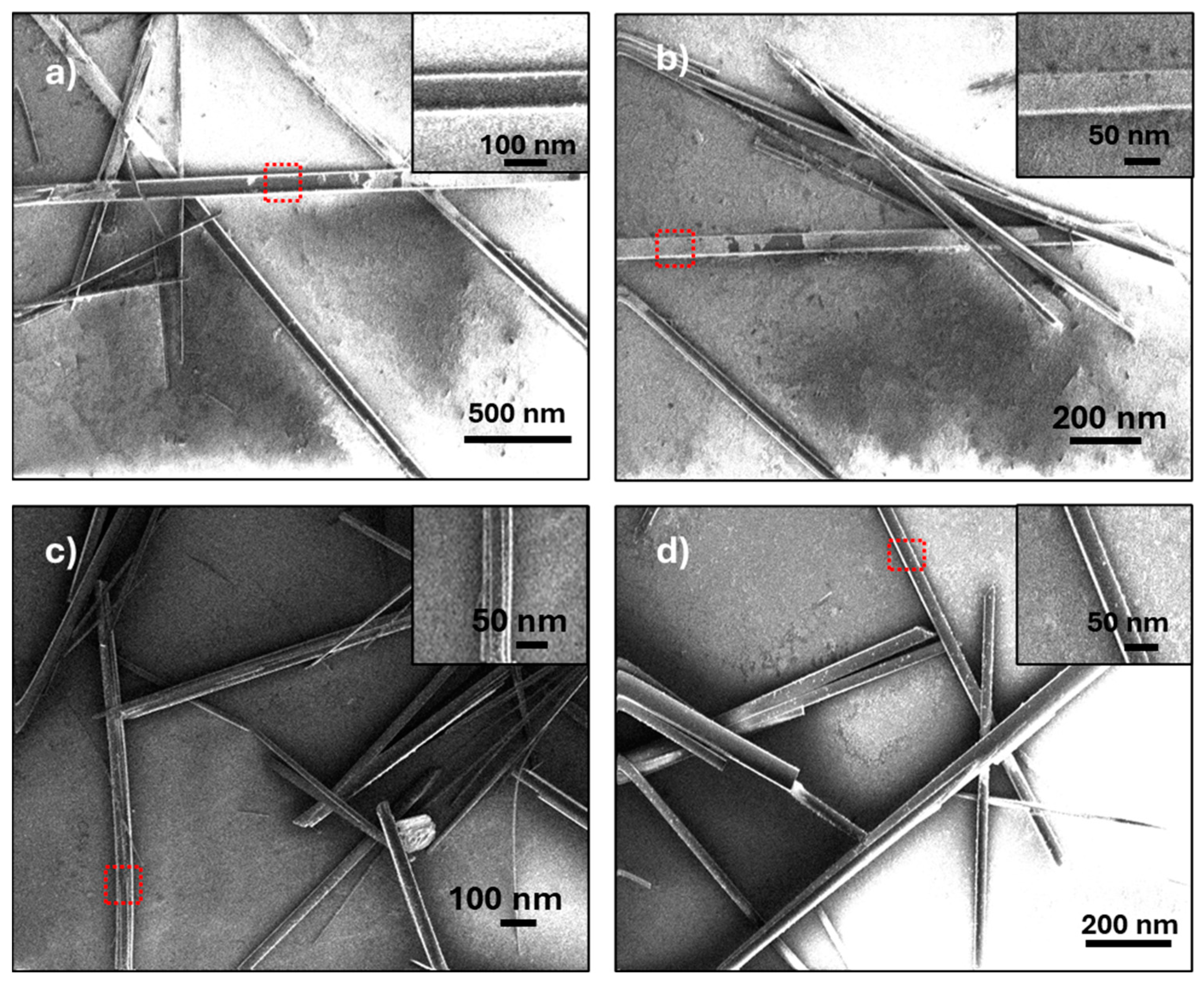 Nanomaterials 14 00822 g003